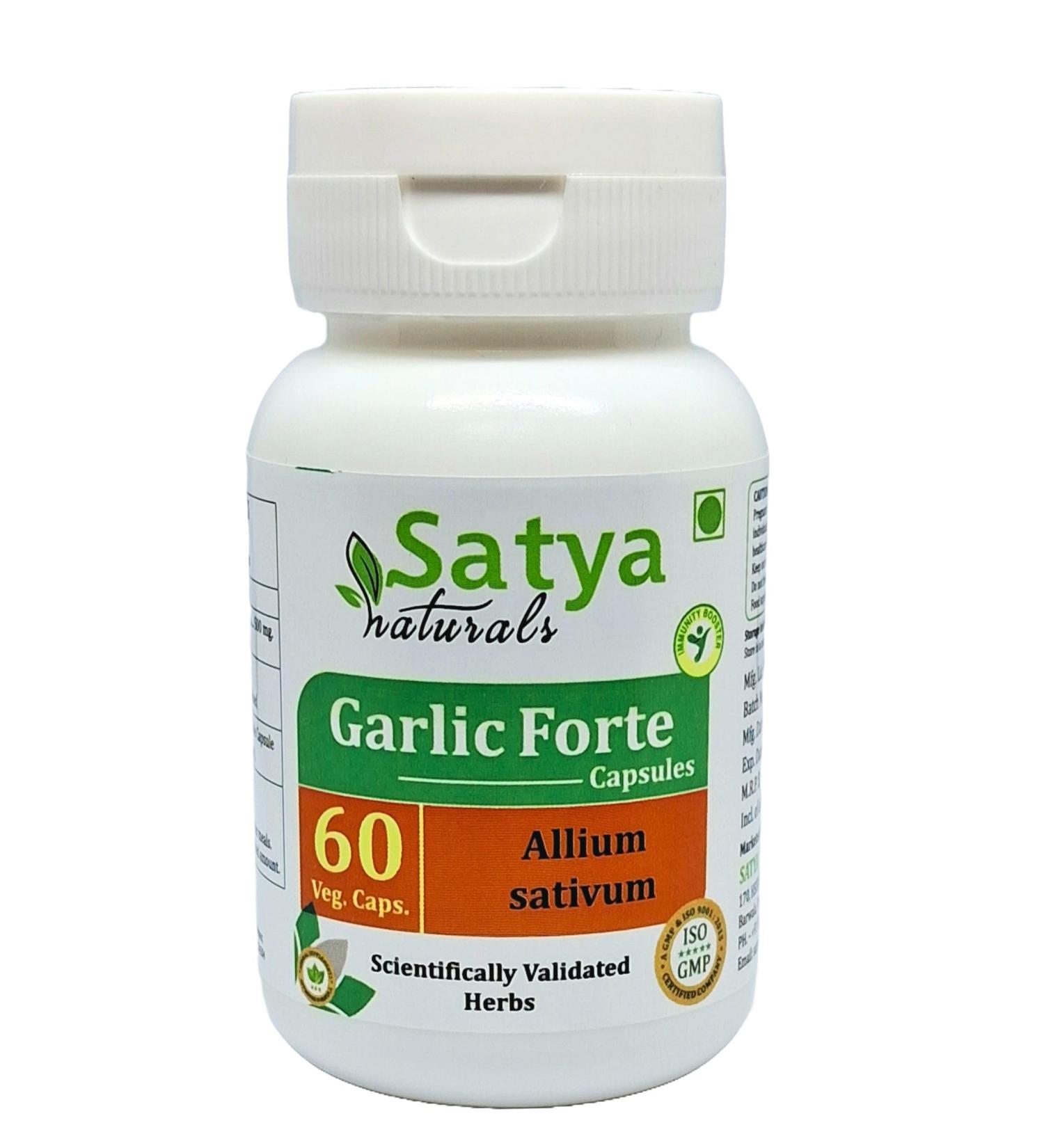 Garlic Forte Capsule 500 mg. 60 Veg. Capsule | Lahsan (Allium Sativum) Extract Capsules for Men and Women | Ayurvedic Herbal Supplement/Remedies | 10:1 Forte (1 Bottle of 60 Capsules) 60 Count (Pack of 1) - Buy Online on GoSupps.com