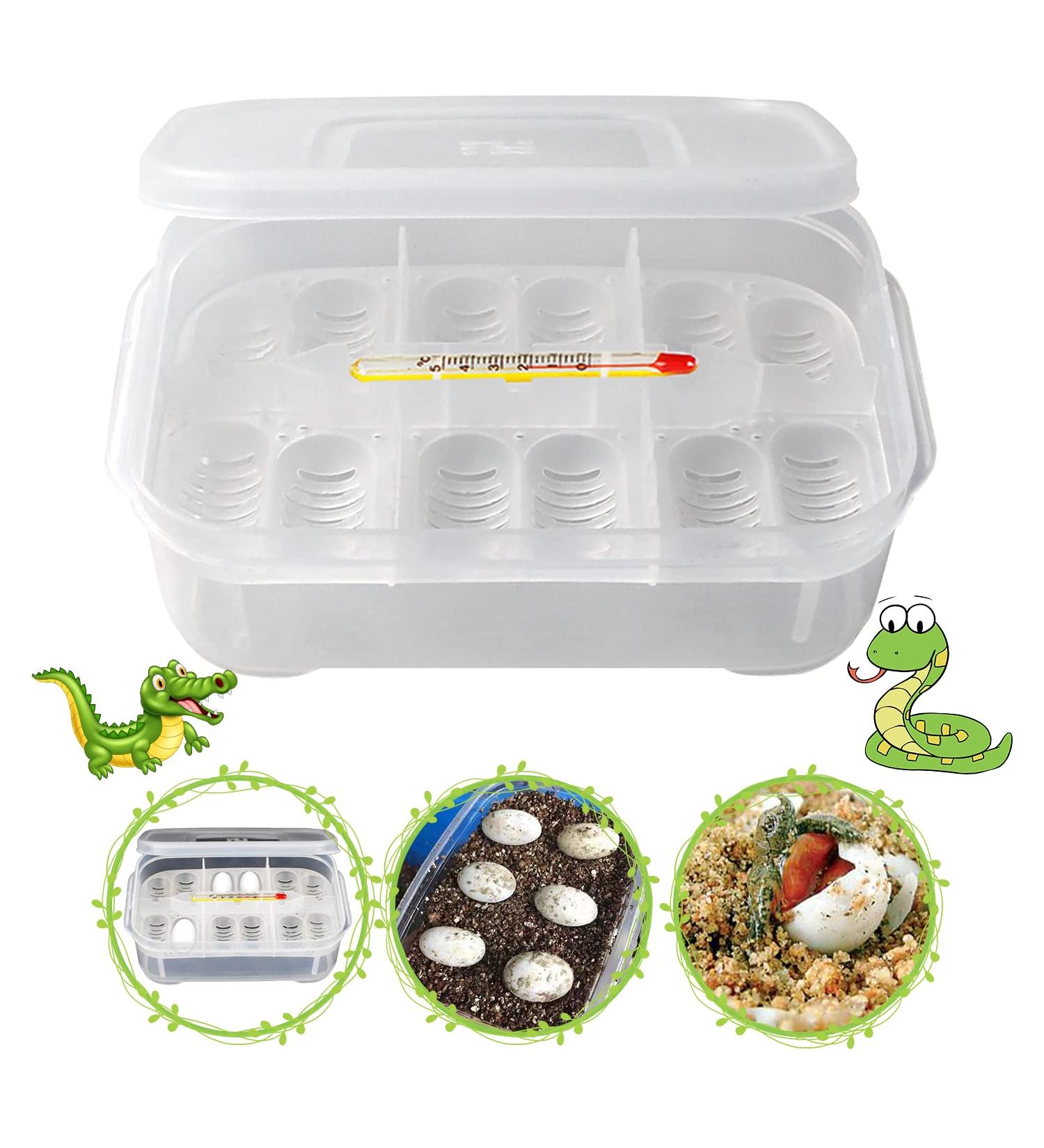Snake Gecko Lizard Reptile Egg Incubator Tray with Thermometer | 16 Grids | Ideal for Snake, Lizard, Frog, Turtle | Incubation Box - Buy Online on GoSupps.com