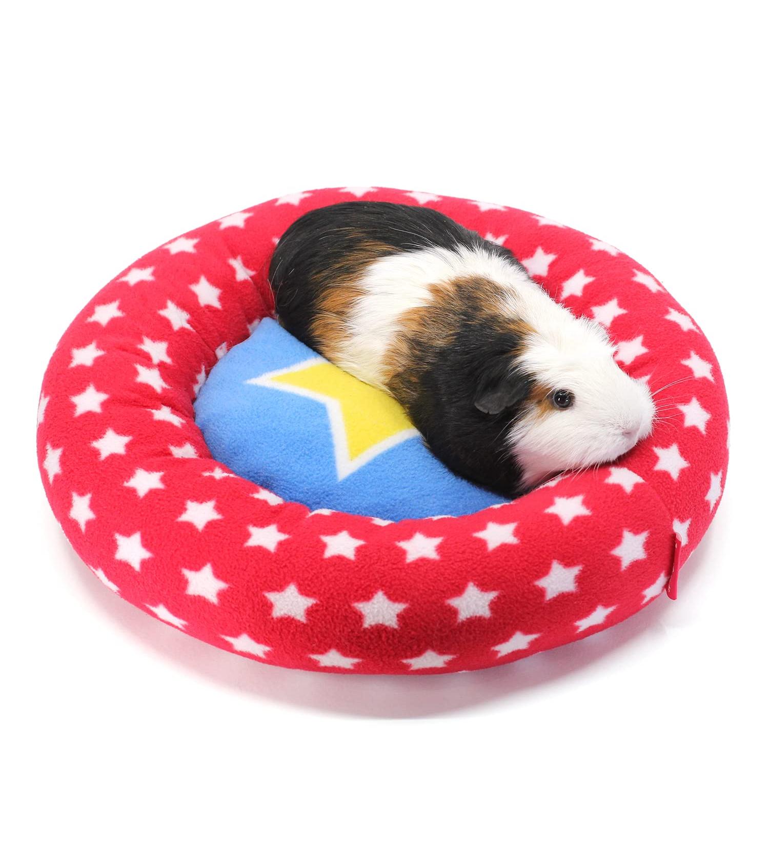 HAYPIGS Circus Themed Fleece Guinea Pig Mat - Cozy Bedding for Small Pets - Buy Online on GoSupps.com