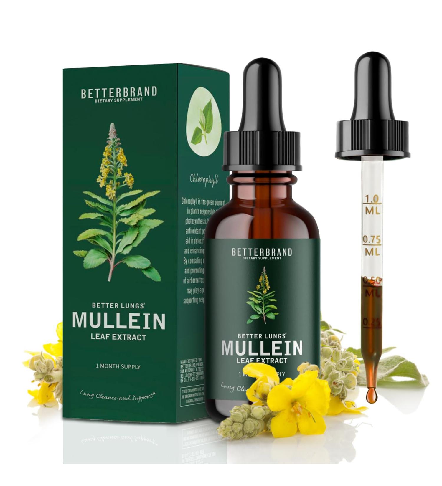 Mullein Leaf Extract for Lungs Mullein Drops Medlife Mullein Extract with Premium Mullein Leaf Extract Alcohol-Free Health Supplement Drops for Fast Absorption - Buy Online on GoSupps.com