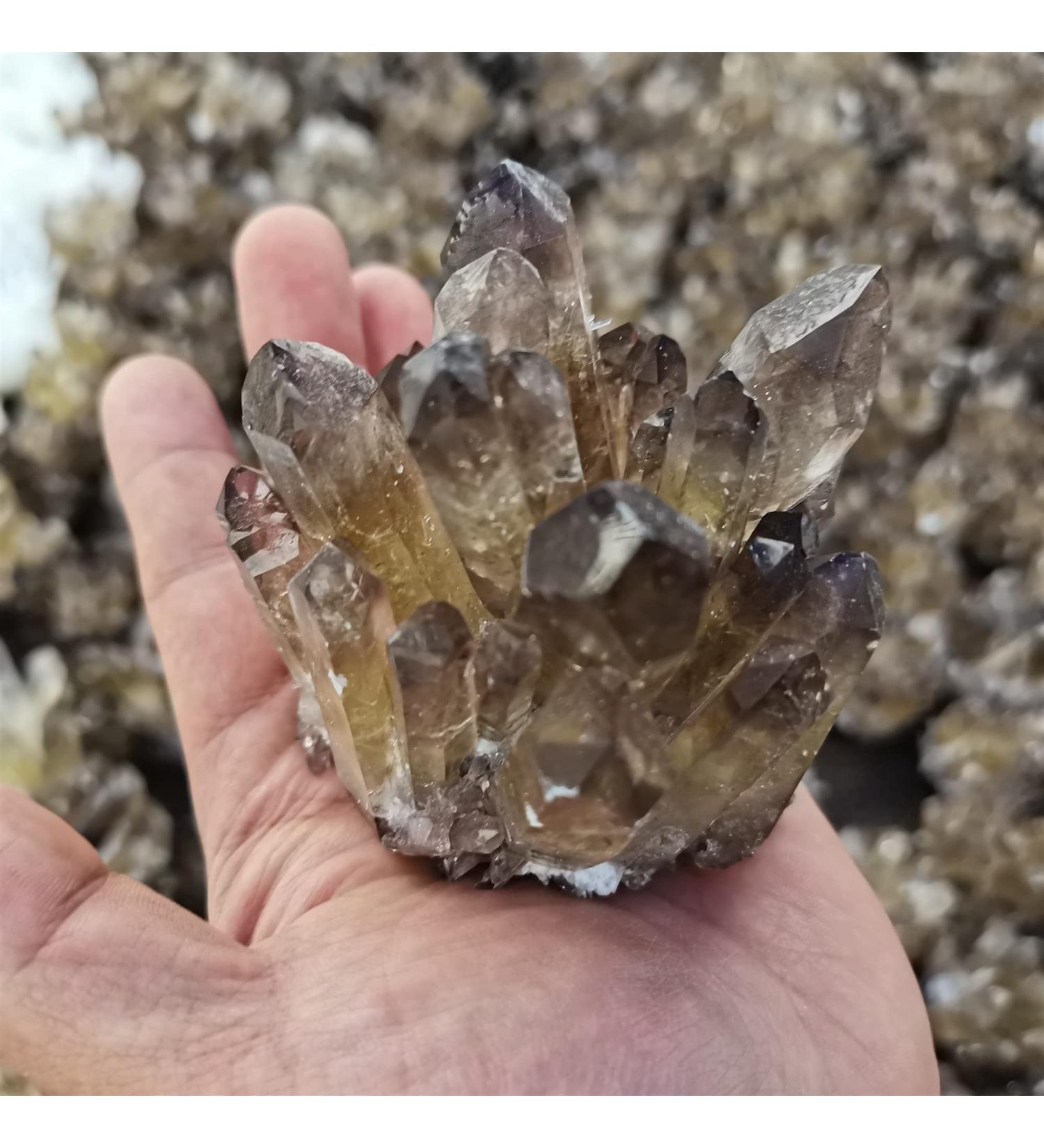 for Natural Smokey Quartz Tea Crystal Cluster Stones Crystal Point Specimen Home Decoration Raw Crystals Gemstones and Crystal dingchi FUZEGRDLI (Size : 300-400g) - Buy Online on GoSupps.com