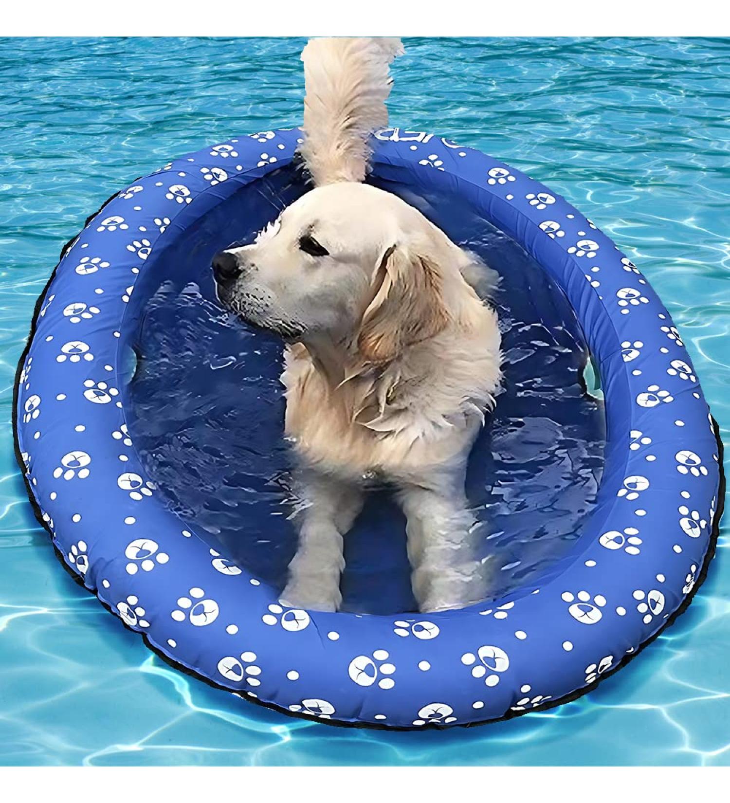 Ginkago Pool Floats for Dogs Pool Toys Pool Float for Large Dogs Pool Floaties for Small Puppy Swimming Blue - Buy Online on GoSupps.com
