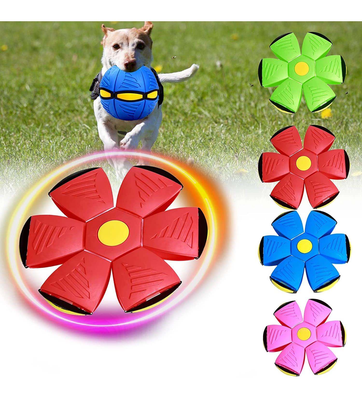 Yeahboom UFO Magical Flying Saucer Ball - Dog Frisbee | Outdoor Dog Toy | Flying Saucer Ball for Dogs | Red Dog Frisbee - Buy Online on GoSupps.com