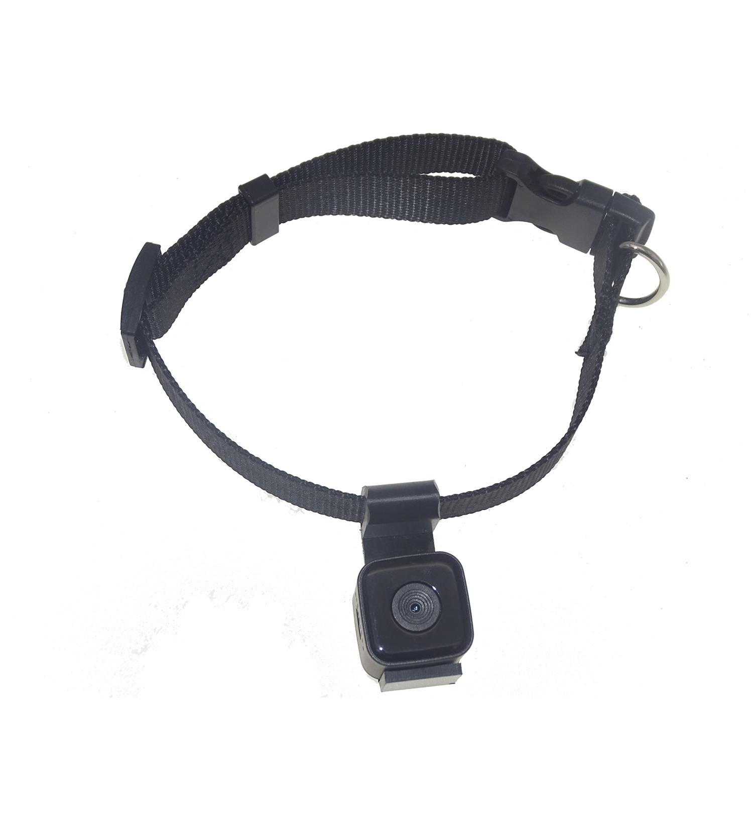 Pet Collar Cam DVR: Video Recorder & Monitor for Dogs, Cats, and Puppies - Buy Online on GoSupps.com