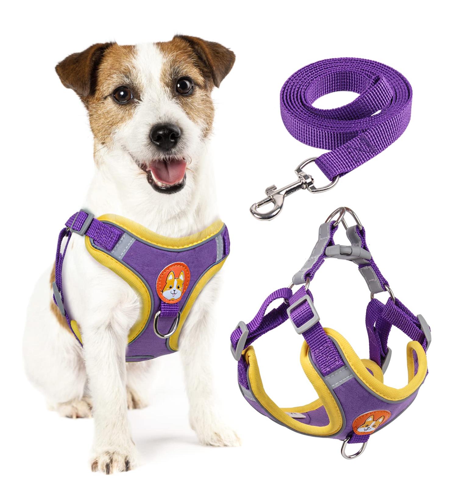 Rennaio No Pull Dog Harness & Leash Set for Small/Medium Dogs - Adjustable & Comfortable with Puppy Dishes - Purple (L) - Buy Online on GoSupps.com