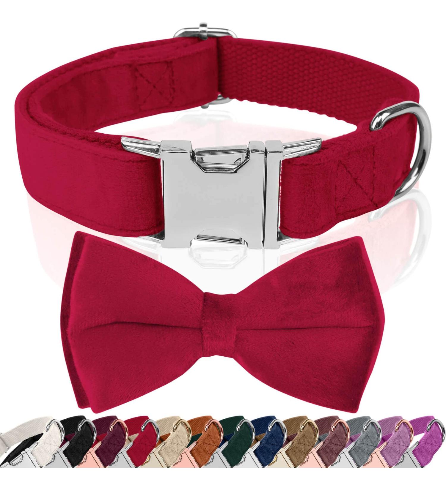 Asvin Velvety Dog Collar - Soft & Comfortable with Removable Dog Fly | Multi-Color for Weddings Birthdays & Parties - International Shipping Available - Buy Online on GoSupps.com