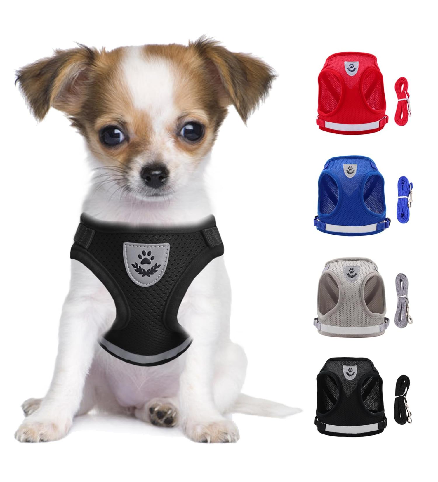 Premium Reflective Soft Padded Dog Harness & Cat Dishes for Small Pets - Air-Mesh Leash Included Adjustable Fit (35-39cm) - Black - Buy Online on GoSupps.com