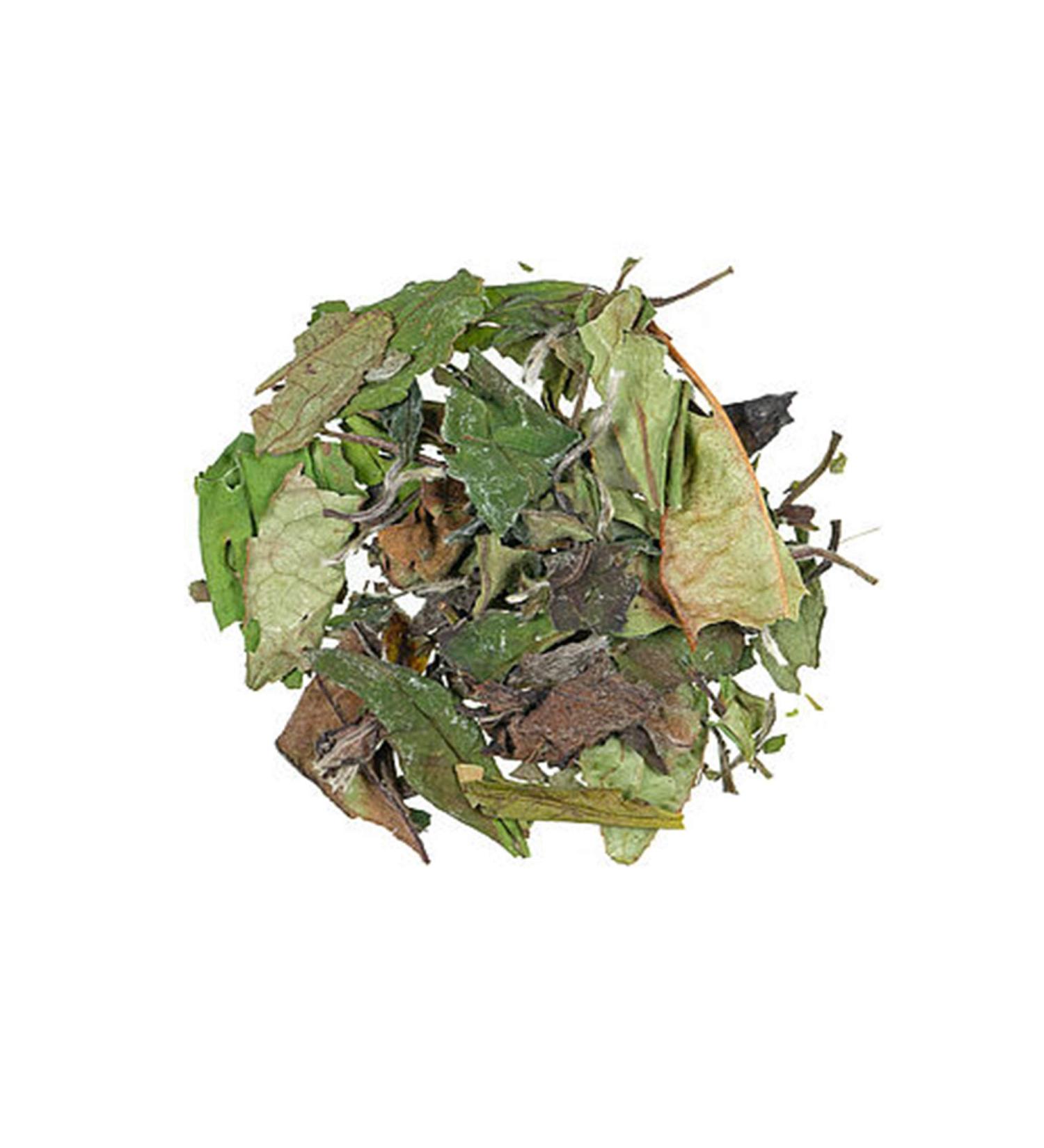 White Tea "Pai Mu Tan" (500 g)