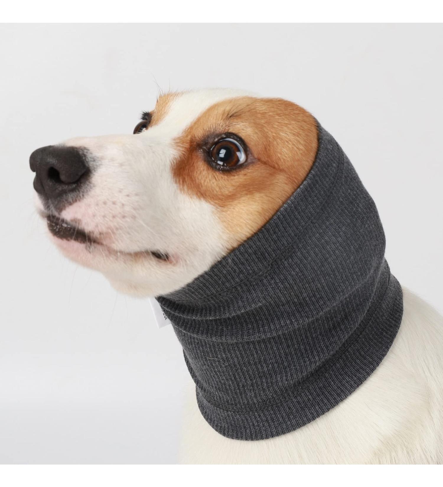 Dog Ear Muffs Headband | Noise Protection for Dogs | Grey Medium Size - Buy Online on GoSupps.com