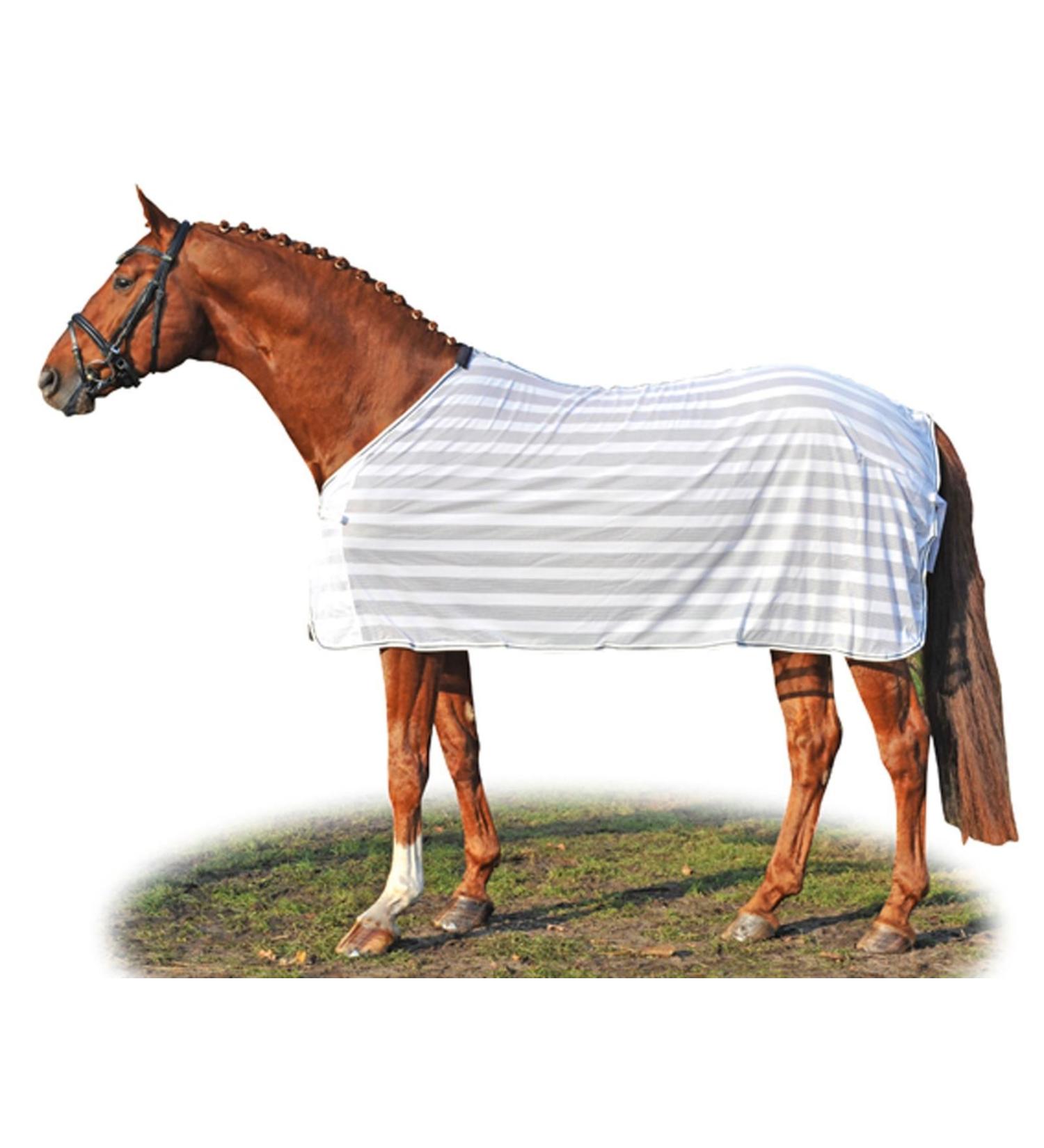 HKM Flying Corner White/Blue 165 - Premium Equestrian Gear for International Shipping - Buy Online on GoSupps.com