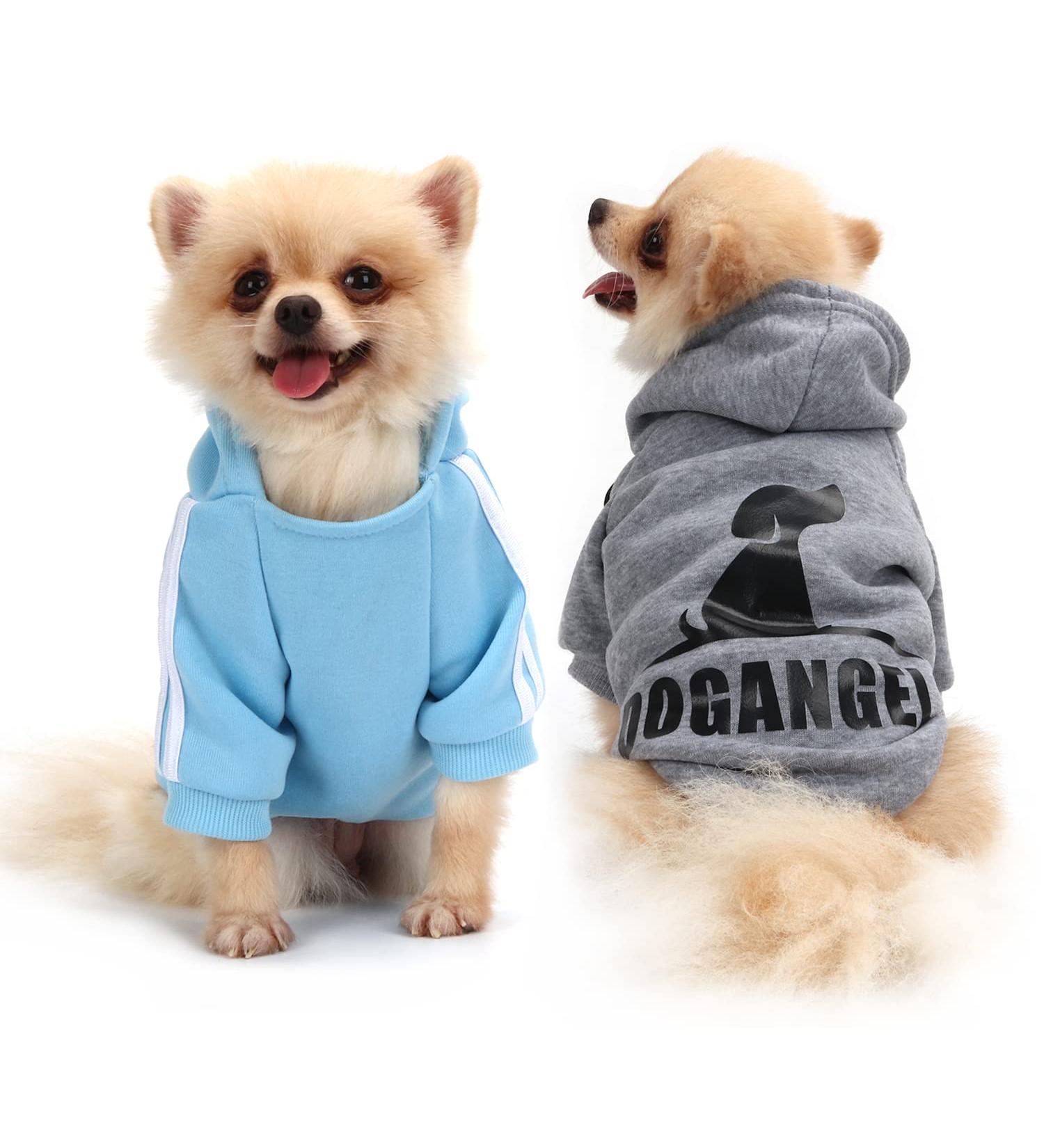 Qicheng & Lys Dog Coat - Cute Cotton Warm Hoodies for Pets | Perfect for Puppies & Cats - A-Gray/Blue S - Buy Online on GoSupps.com