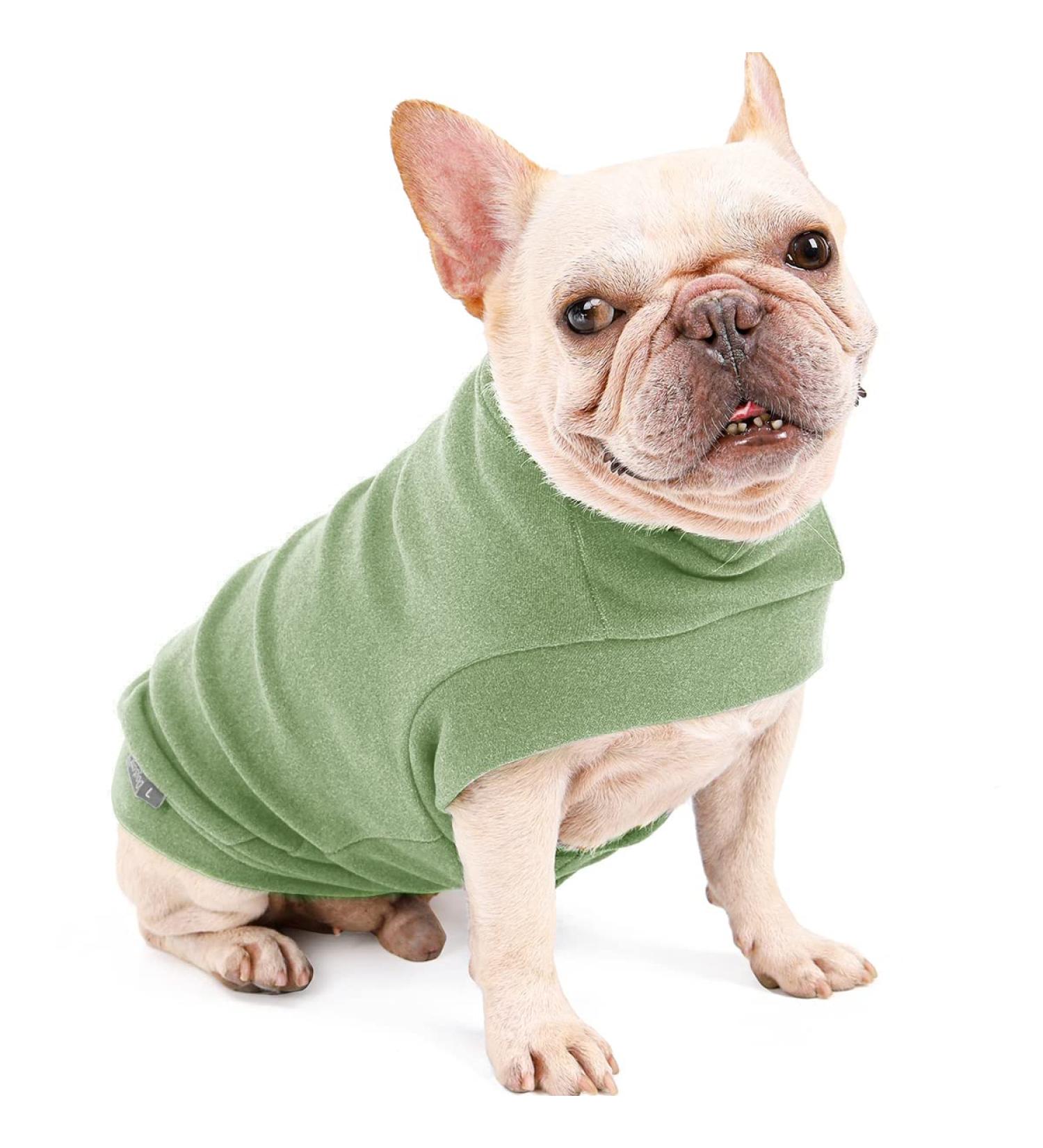 Docio Dog Sweater - Soft & Warm T-Shirt for Small Dogs & Cats | Spring Clothes Coat | Green (1 Pack) - Buy Online on GoSupps.com