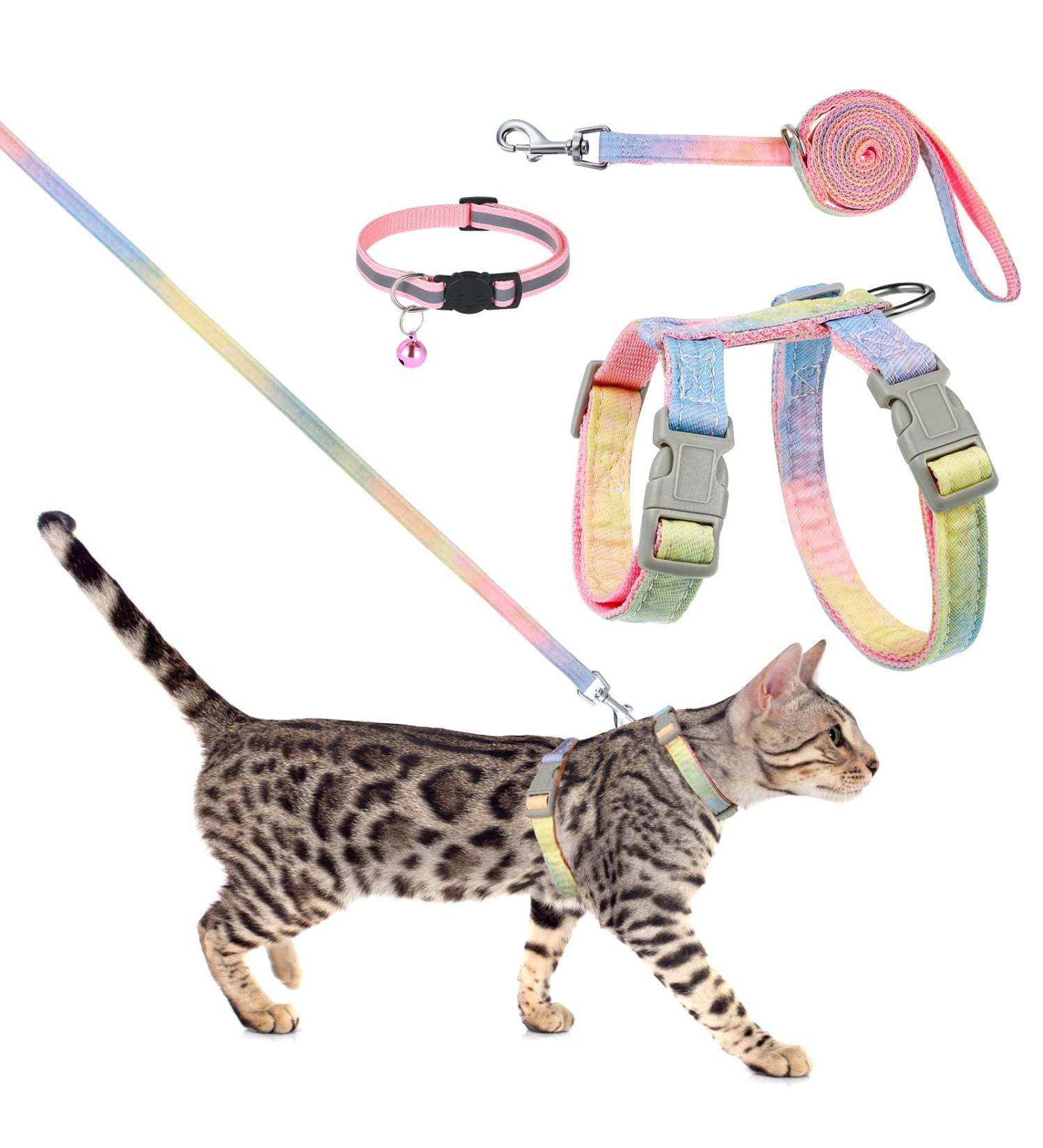 Rainbow Pinenuts Cat Harness and Lead Set | Escape Proof | Adjustable Collar | Outdoor Walking - Buy Online on GoSupps.com