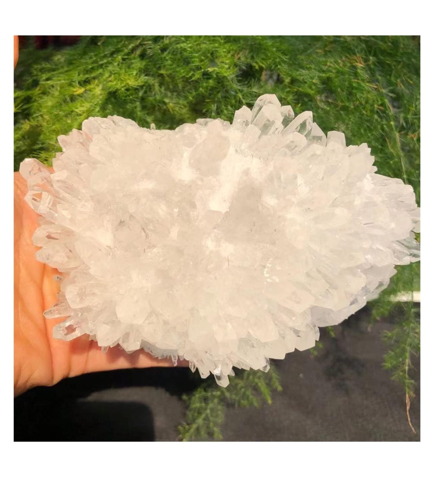 Crystal Cluster Natural White Crystal Clear Cluster Original Stone Quartz Specimen Rock Raw Gemstones Decor Full of Texture (Size : 800-900g) - Buy Online on GoSupps.com