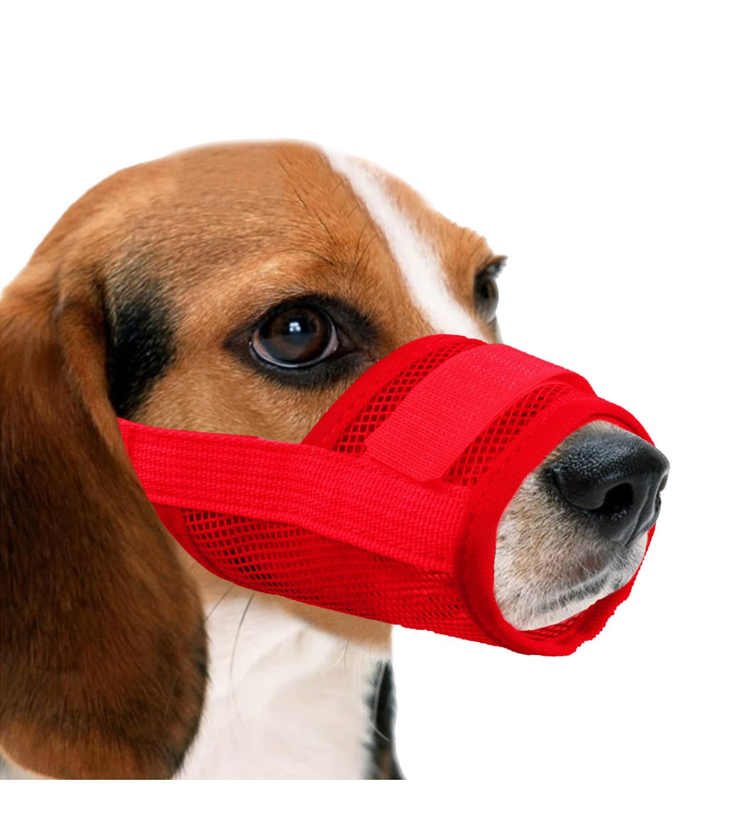 Yaodhaod XXL Red Dog Muzzle Breathable Nylon Mesh Adjustable Straps for Biting Chewing & Barking - Fast-Sitting Convenient Design - Buy Online on GoSupps.com