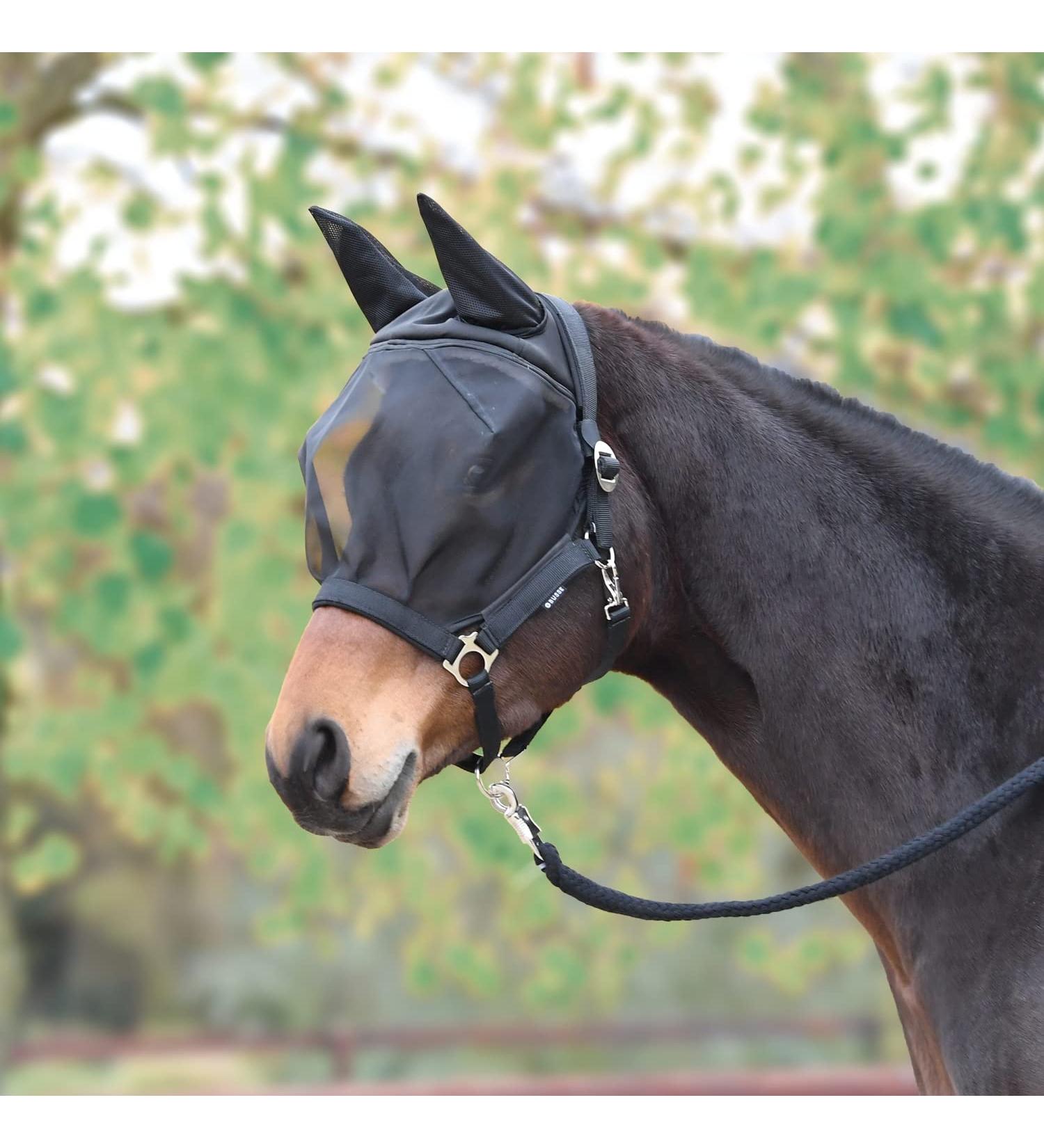 Buy Busse Fly Halter Fast Black for Warmblood - Premium Quality & International Shipping - Buy Online on GoSupps.com