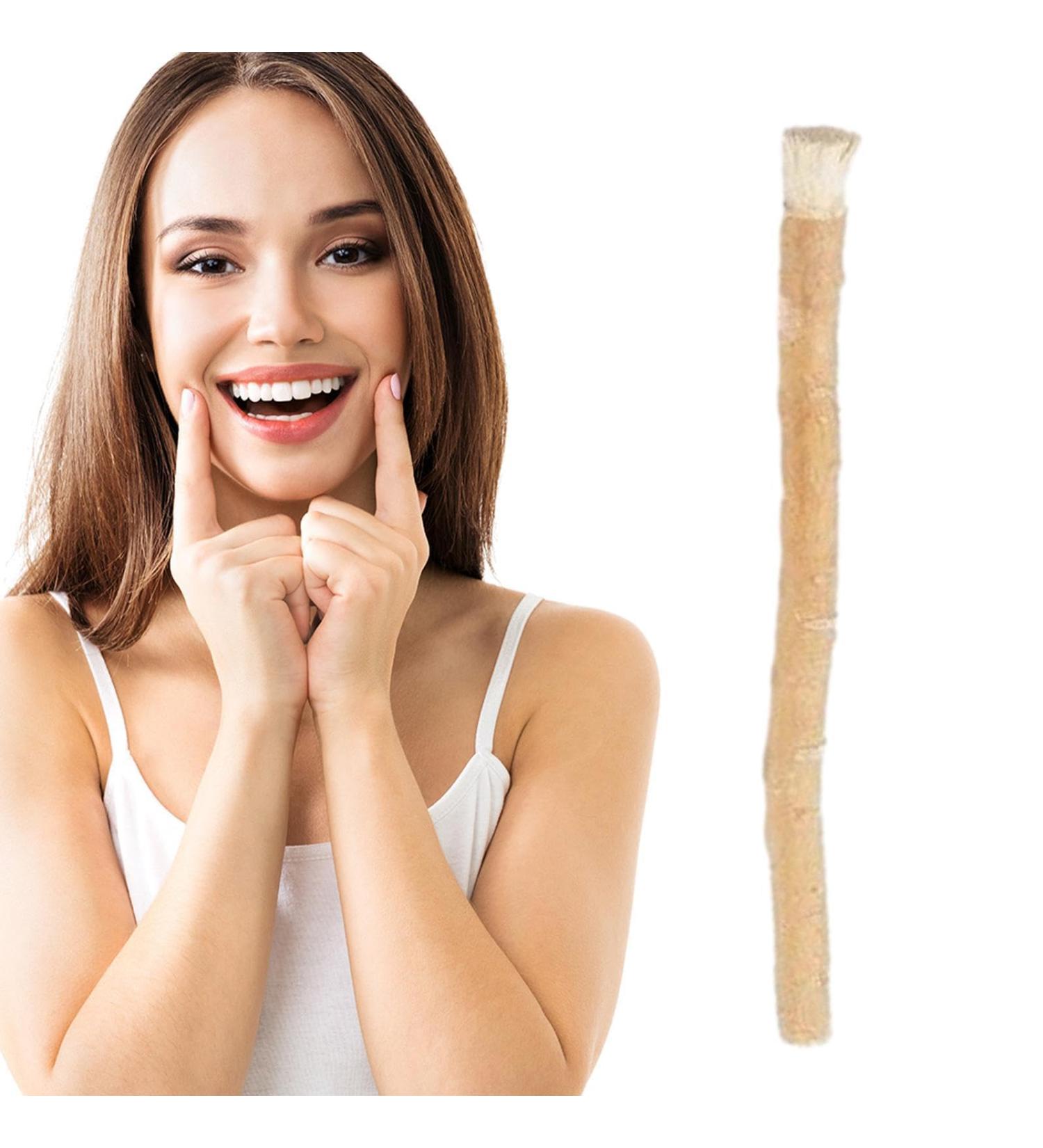 Miswak Toothbrush - Teeth Miswak Sticks - Traditional Natural Toothbrush - Miswak Teeth Sticks Toothbrushes - Portable Miswak Stick Breath frshener for Tooth Stain Removal - Healthy Gums Teeth - Buy Online on GoSupps.com