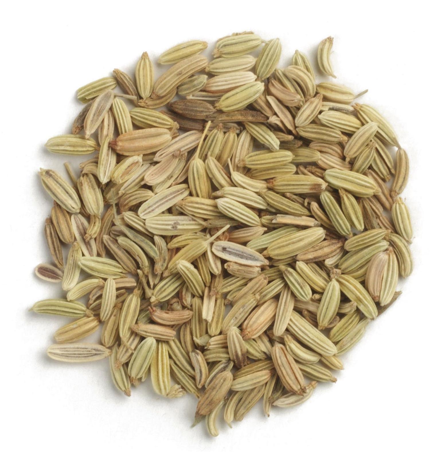 Frontier Fennel Seed Whole 16 oz Bags - Pack of 2 | Premium Quality Spice - Buy Online on GoSupps.com