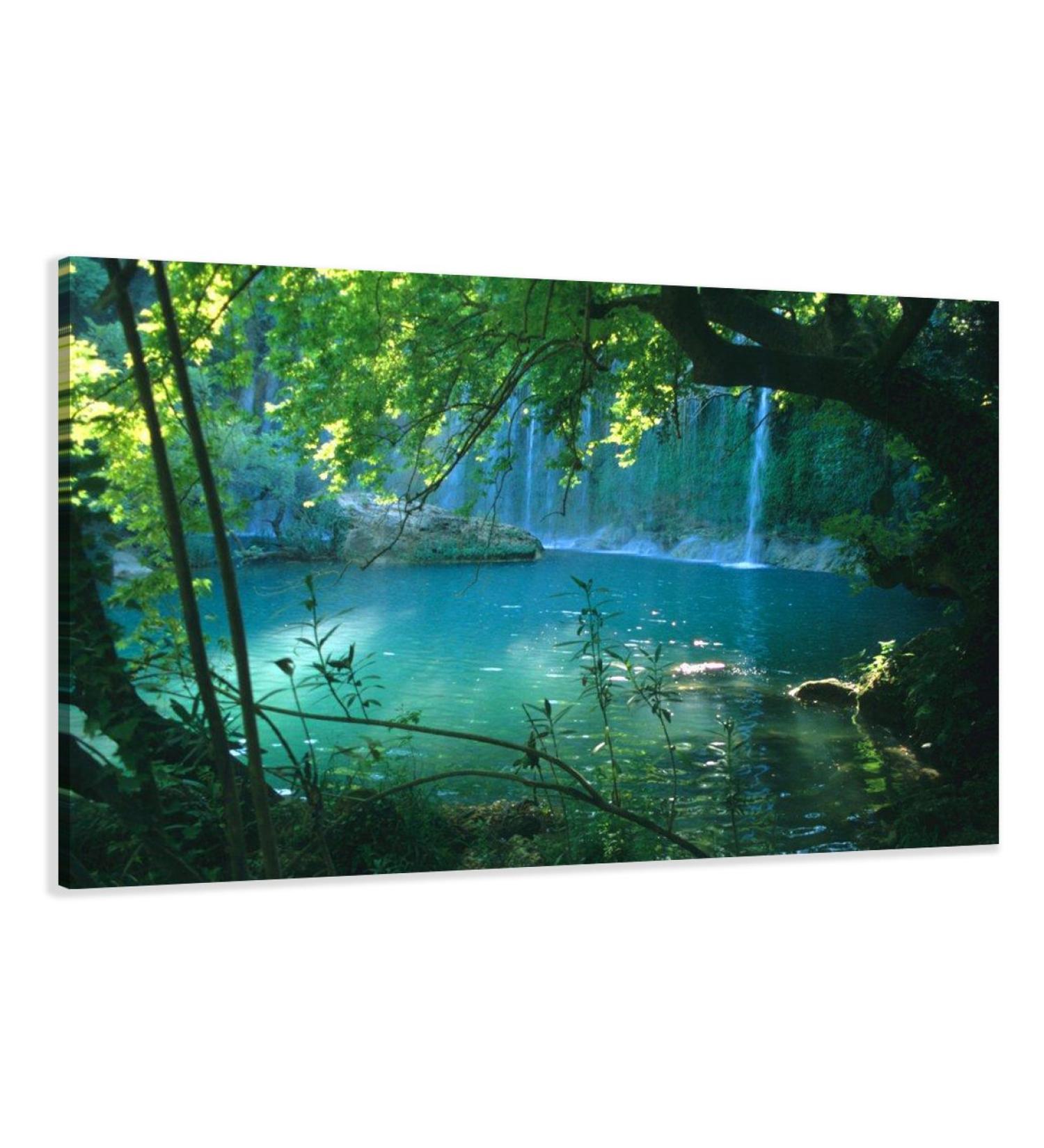 Visario 4164 Canvas Picture - Nature | 31.5 x 24 | 80 x 60 cm - Buy Online on GoSupps.com