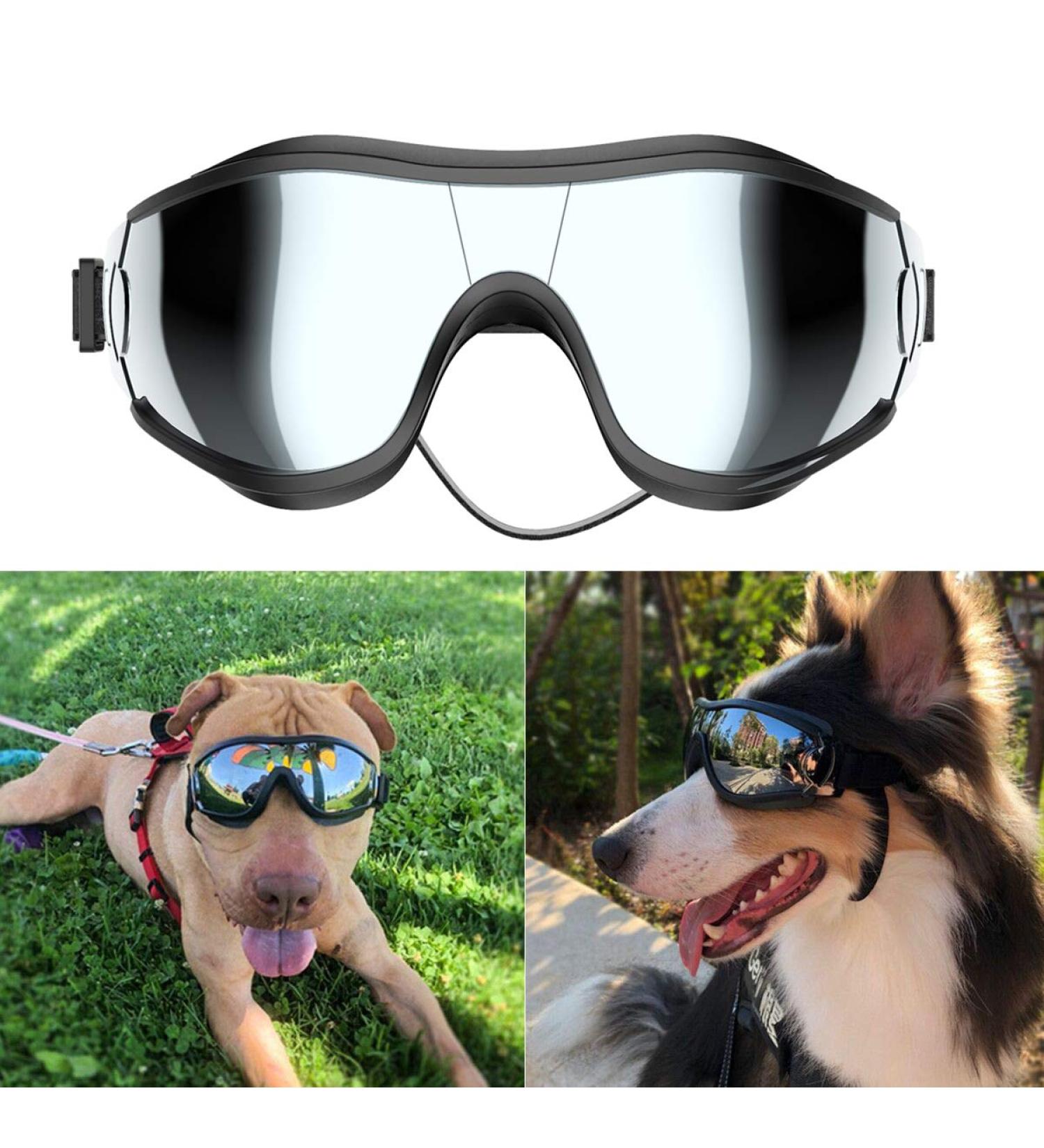 NVTED Dog Sunglasses | UV, Wind, Dust, and Fog Protection | Adjustable Strap | Medium/Large Dog Goggles (1 Pack) - Buy Online on GoSupps.com