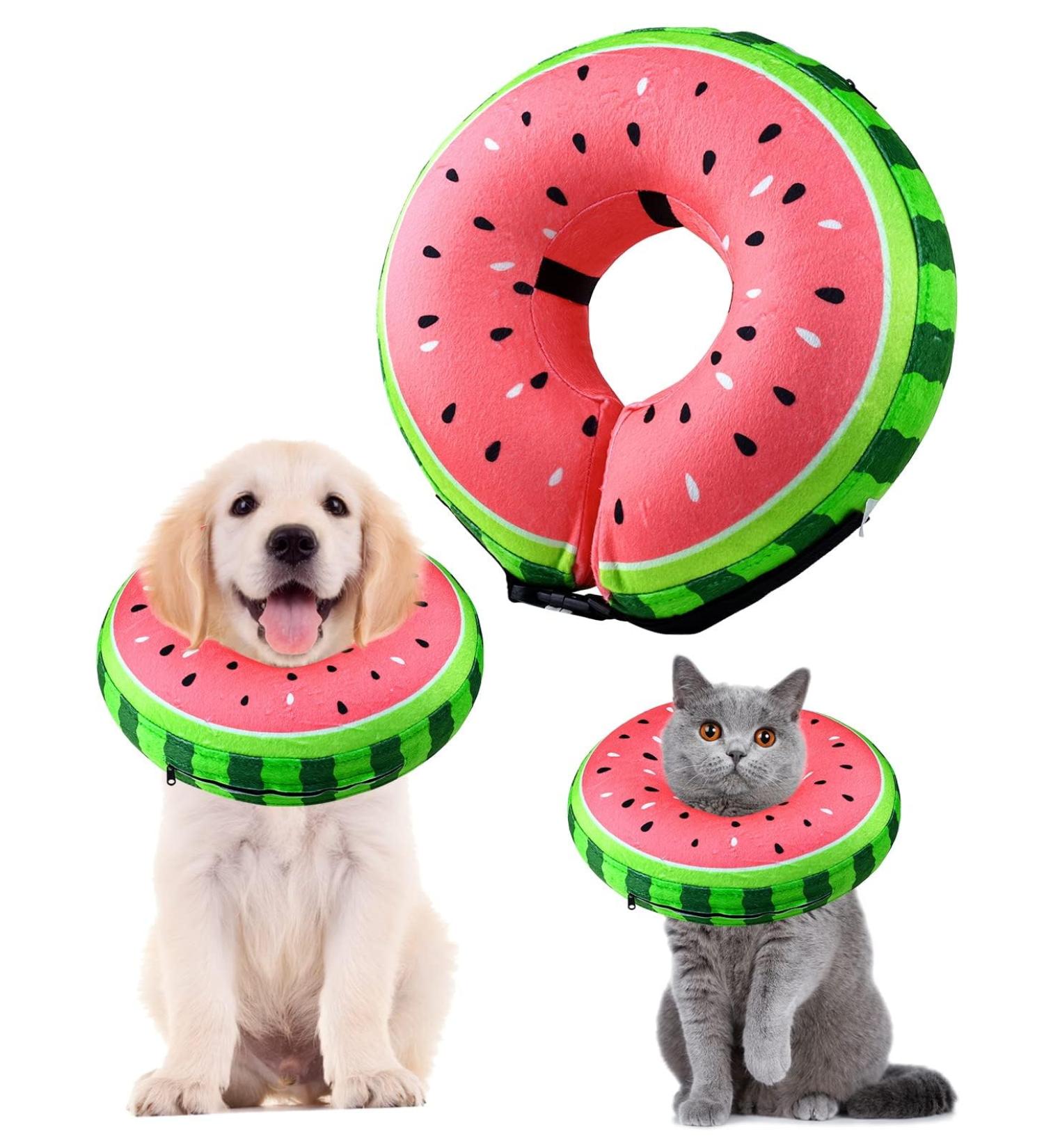 Buy Inflatable Dog & Cat Recovery Collar | Adjustable Buckle | Leak Protection for Post-Operation Care - Sizes S (12.7cm-20.3cm) - Buy Online on GoSupps.com