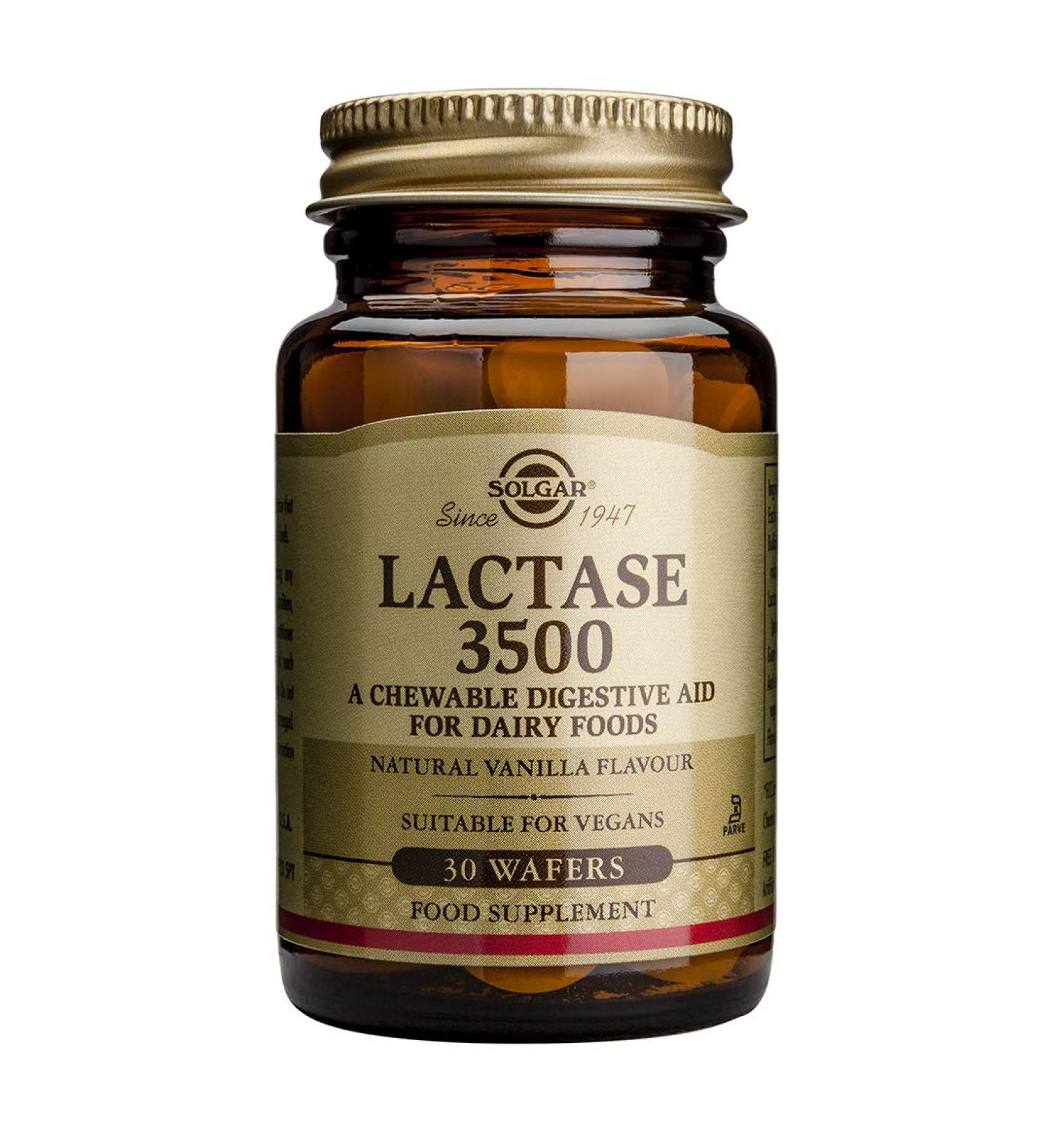 SOLGAR Lactase 3500 Chewable Wafers 30ct - Fast-Acting Digestive Support - Buy Online on GoSupps.com