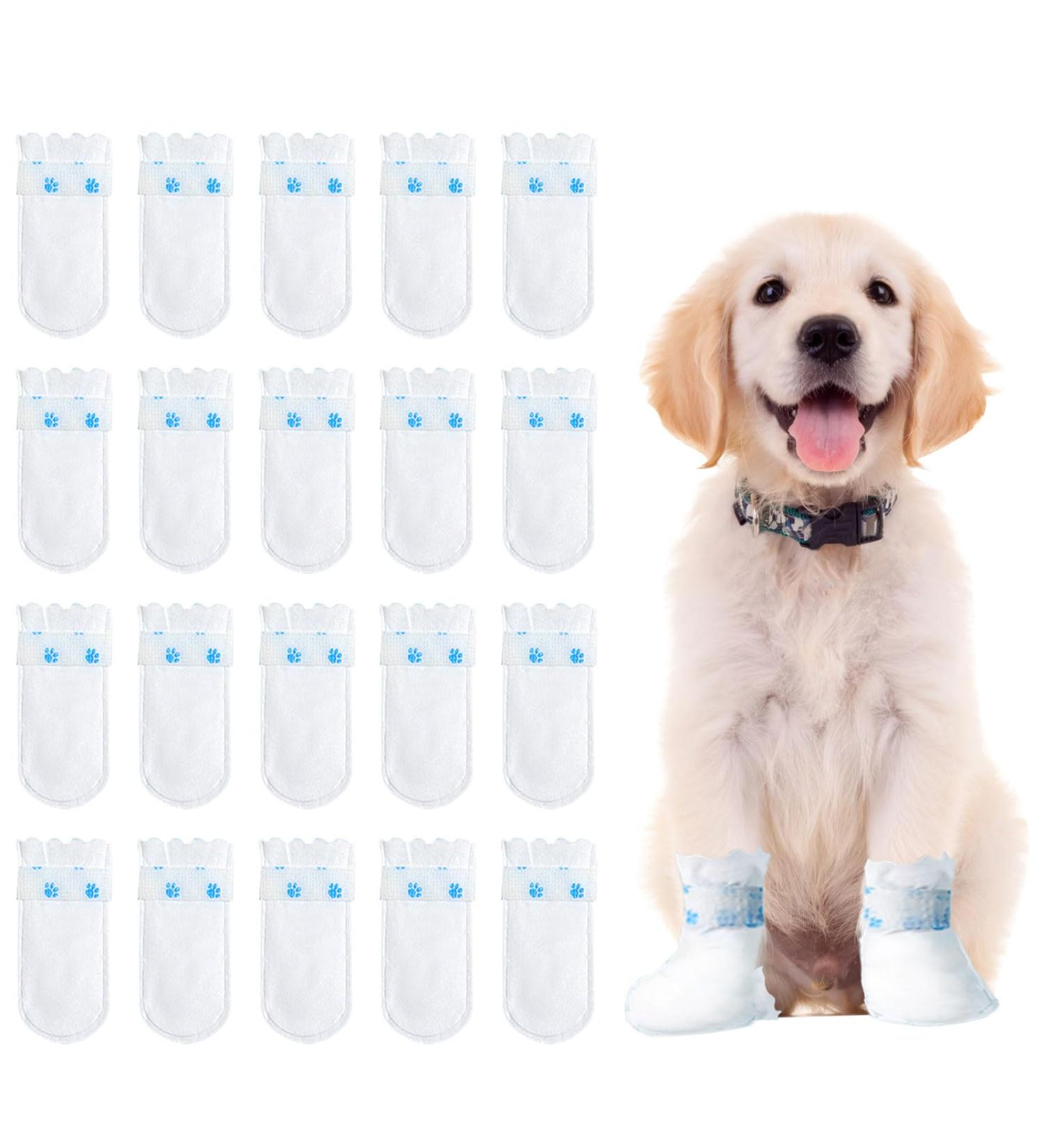Disposable Dog Shoes 20PCS Disposable Dog Socks Paws Stop Licking with Self Adhesive Bandage Windproof Dirty Protection Pet Dog Boots Foot Cover for indoor & outdoor Walking (L) - Buy Online on GoSupps.com