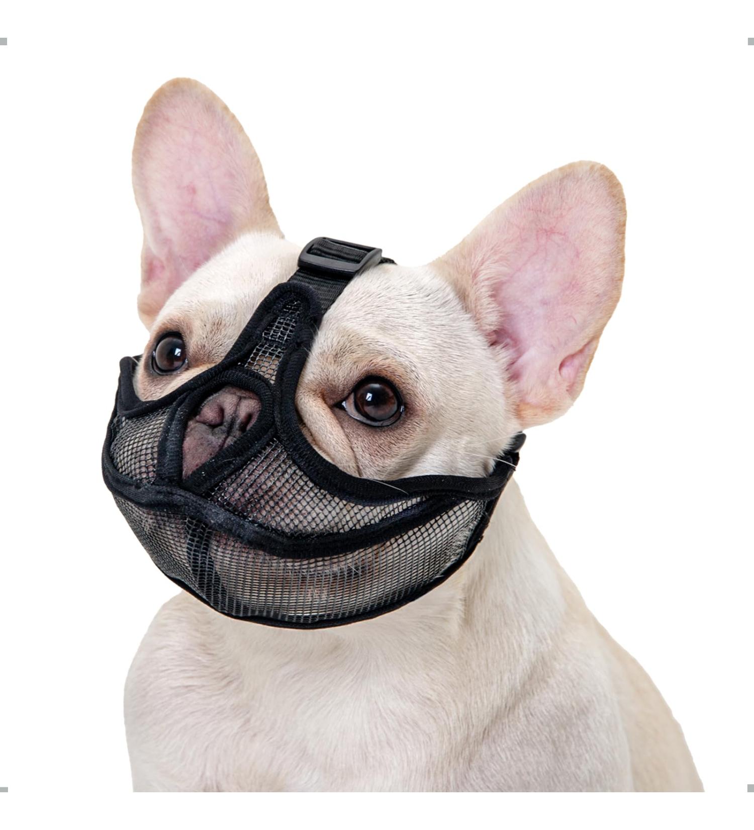 ILEPARK French Bulldog Muzzle - No Cover Forehead Adjustable Mesh Anti-Biting for Short Snout Dogs (Large Black) - Comfortable & Breathable - Buy Online on GoSupps.com