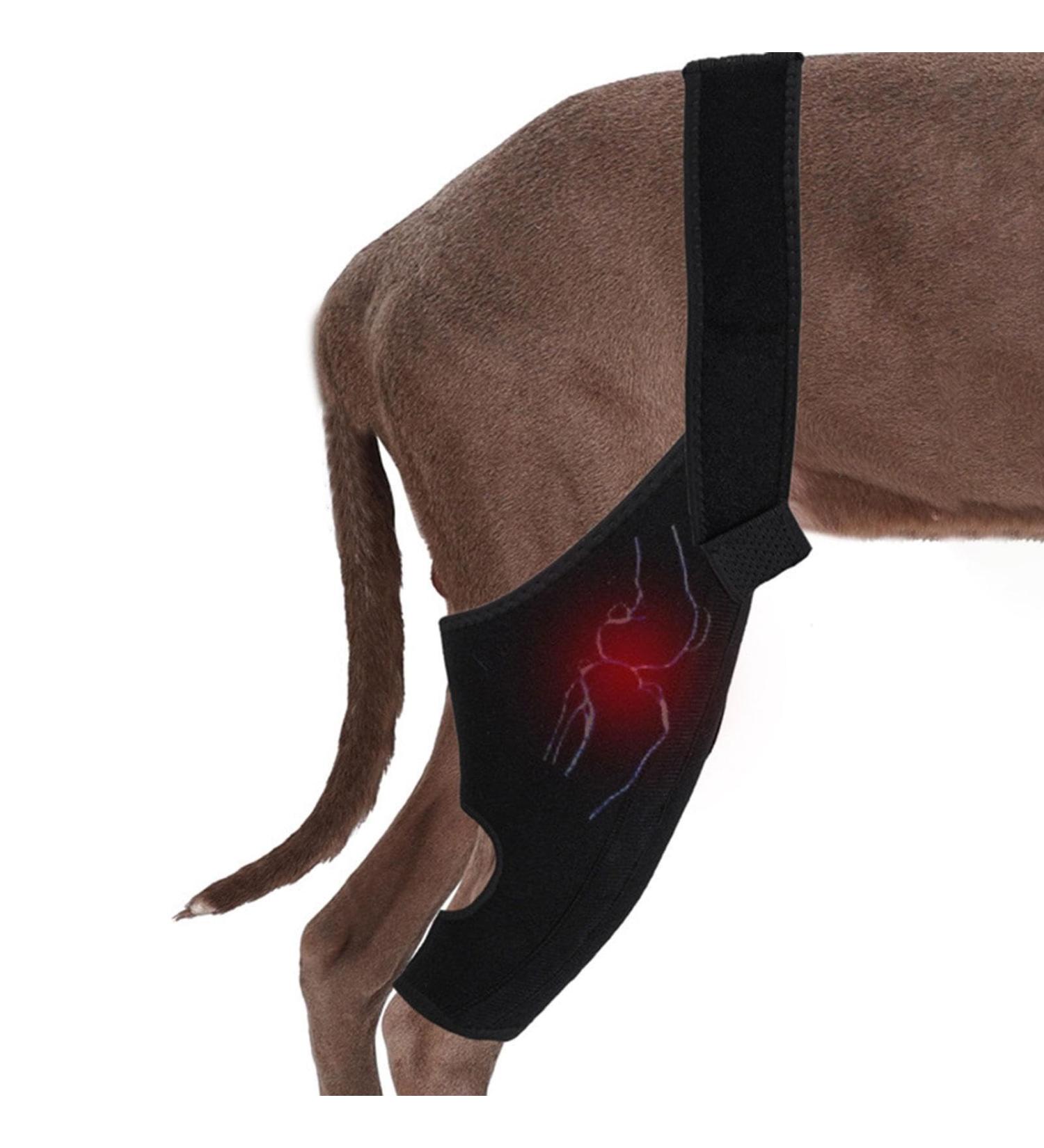 Dog Hip Brace Support Dog Back Leg Brace Back Leg Hip Support with Metal Strip High Elasticity Breathable Leg Protector for Recovery Period Pochy Black Small - Buy Online on GoSupps.com