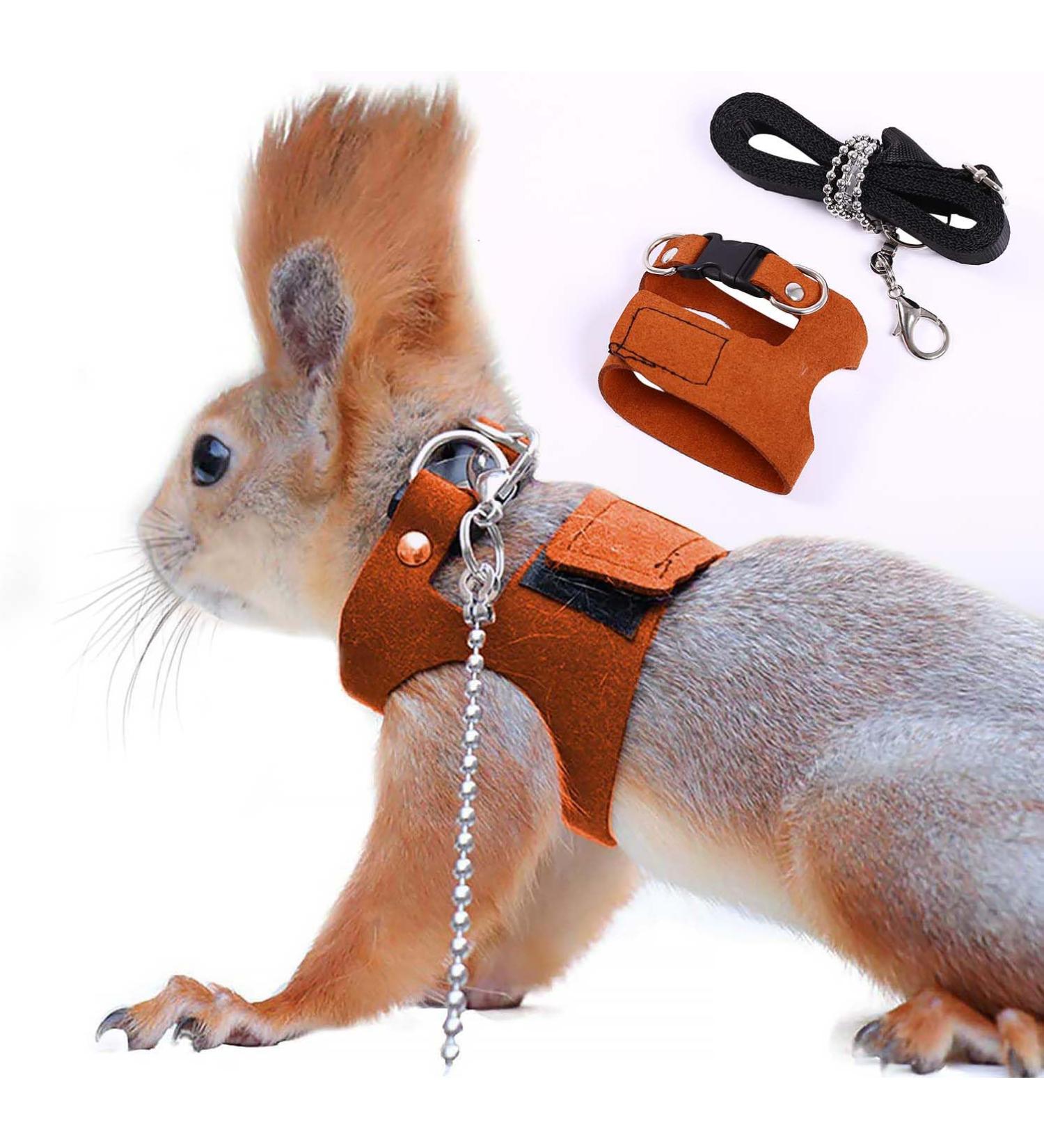 Buy Squirrel Traction Rope Belt & Adjustable Vest - Anti-Bite Chain for Small Animals | Perfect for Hamsters Mice Rats Ferrets & Chinchillas - Buy Online on GoSupps.com