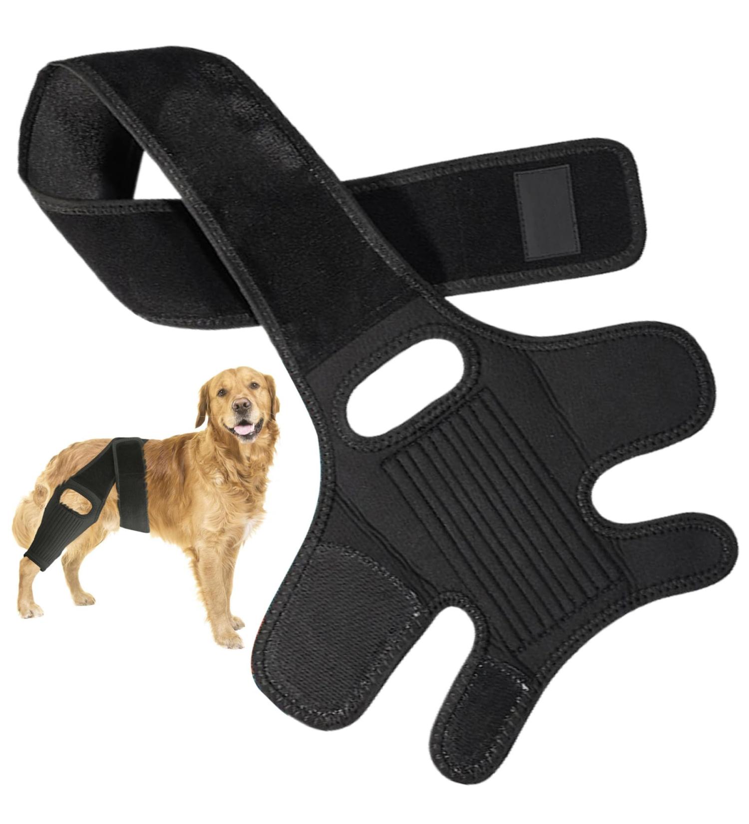 Dog Knee Brace for Torn Knee Brace for Dogs Dog Knee Braces for Back Leg ACL Hind Leg Adjustable Dog Acl Knee Brace Support for Large and Small Dogs with ACL CCL Cruciate Ligament Injuries - Buy Online on GoSupps.com