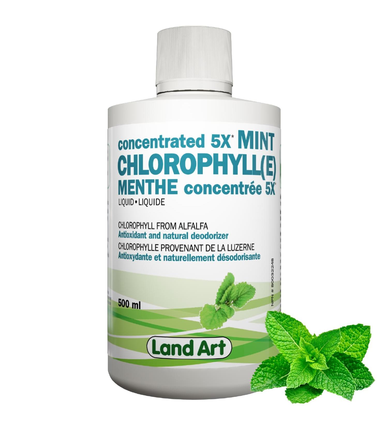 Liquid Chlorophyll Mint 5X Concentrated 500ml Cold Extracted from Non-GMO Alfalfa - Detox - Alkaline - Natural Body Deodorant Antioxidant - Made in Canada - Buy Online on GoSupps.com