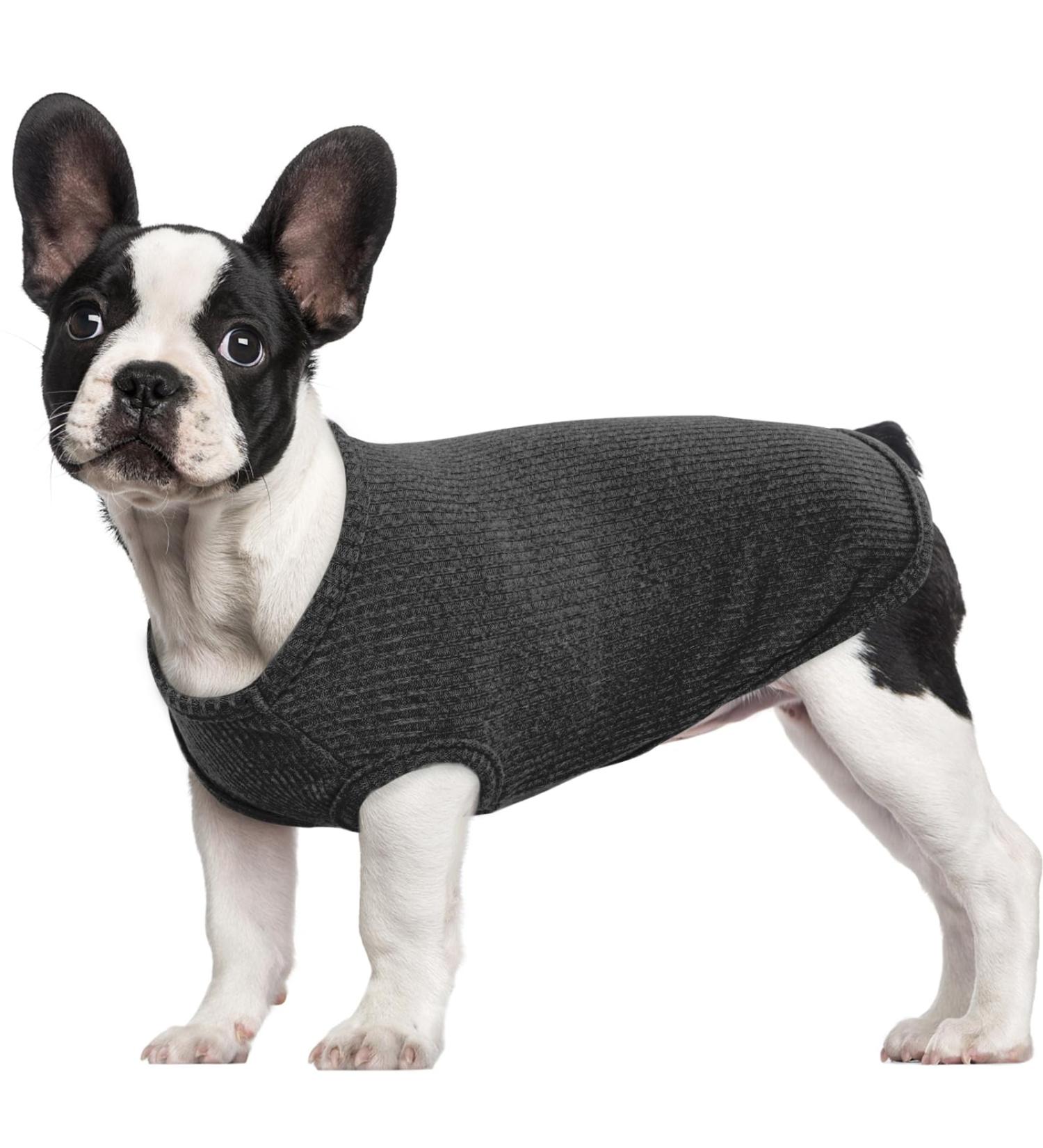 Hjumarayan Black XS Dog Sweater for Small Dogs - Washable Elastic Striped Shirt for Chihuahua & Yorkshire Terrier - Buy Online on GoSupps.com