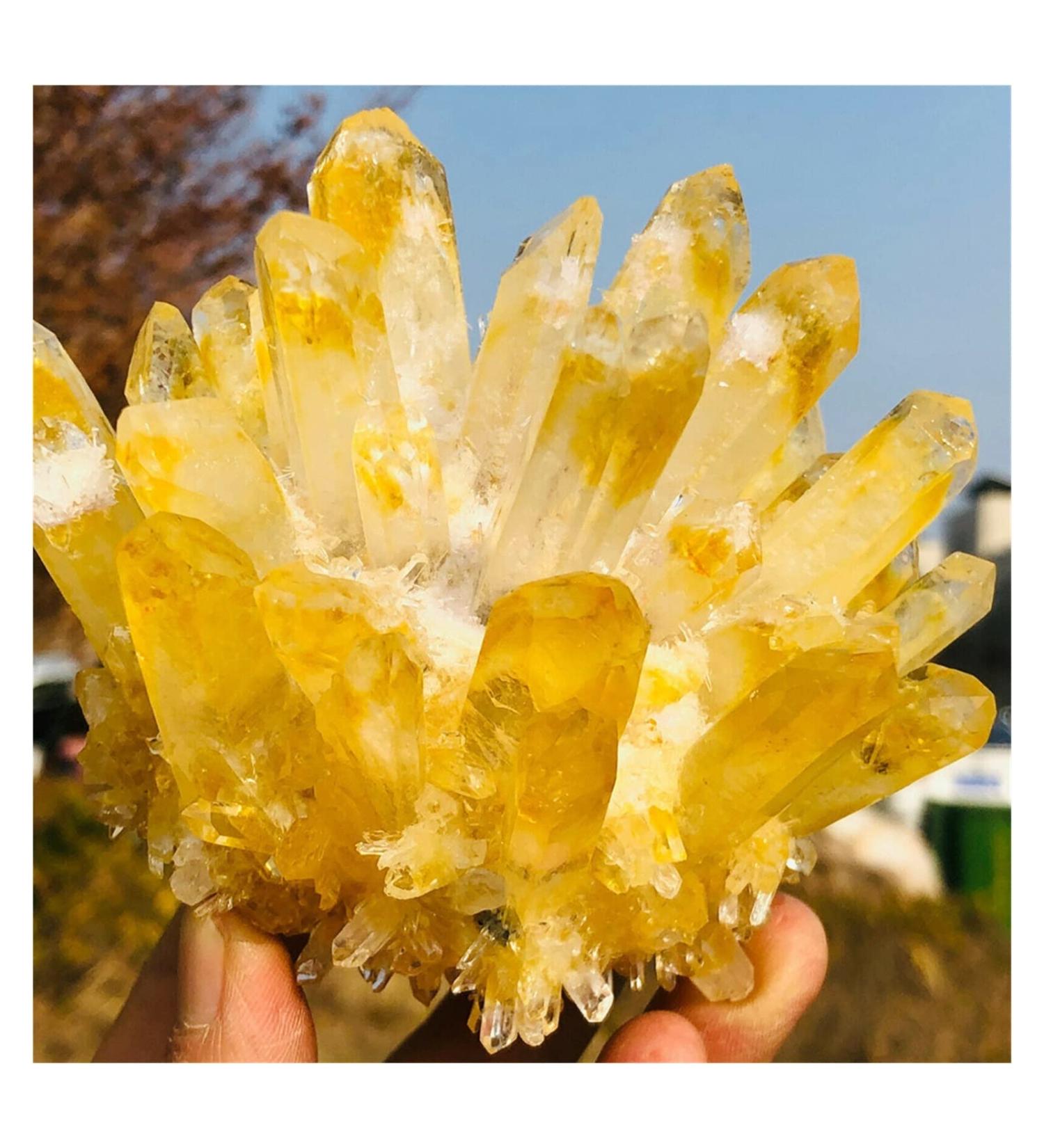 Crystal Cluster Rare New Yellow Phantom Quartz Crystal Cluster (Size : 300-350g) - Buy Online on GoSupps.com
