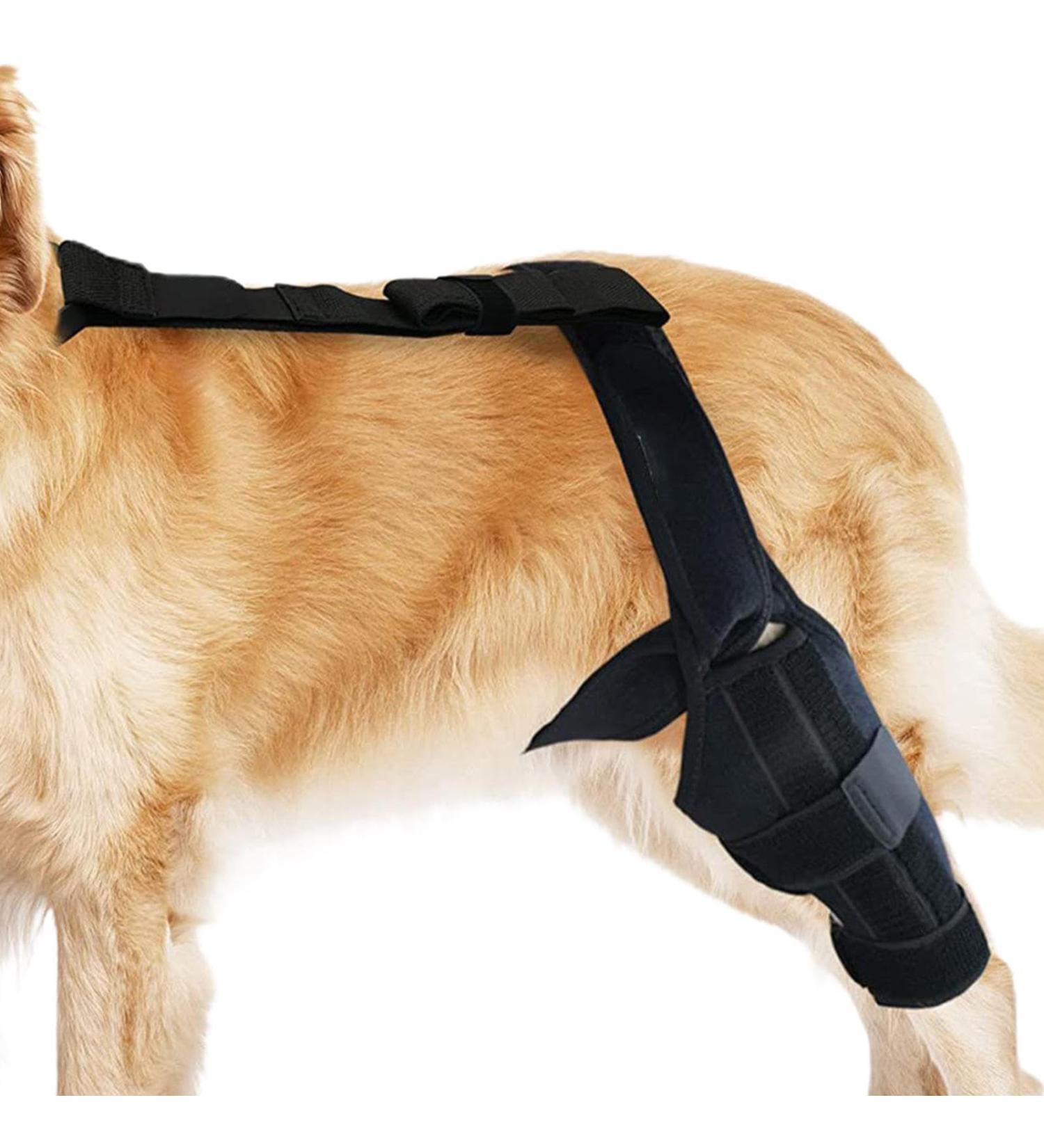 Rear Leg Braces for Small Dogs | Rear Leg Brace Support Dog Knee Brace Neoprene Hip Brace Adjustable Traction Belt for Knee for Cruciate Ligament Injury for Torn ACL Leg L left - Buy Online on GoSupps.com