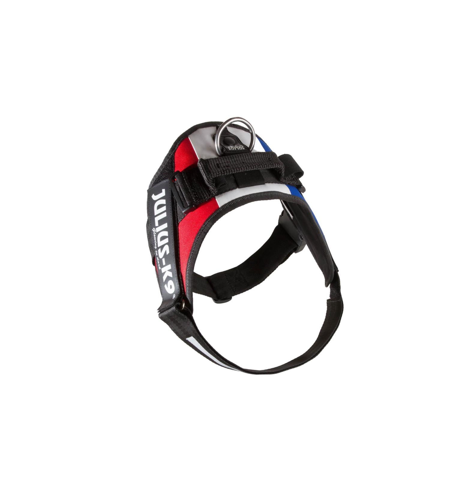 IDC Powerharness L/1 - Premium French Colors | International Shipping Available - Buy Online on GoSupps.com