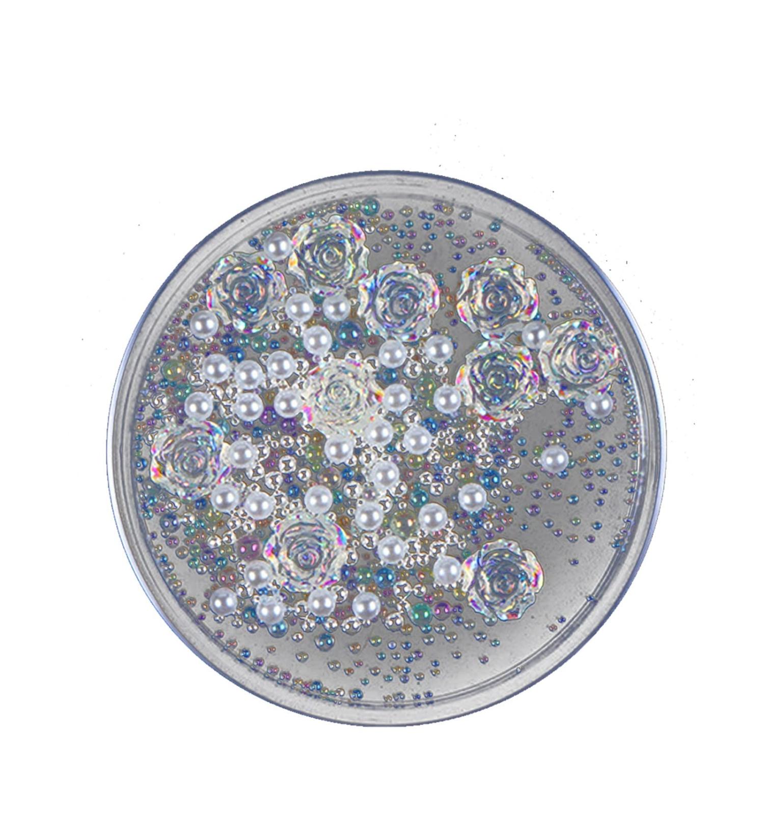 Heart Nail Rhinestones Nail Ornament White Auroras Transparent Illusions Three Dimensionals Resin Rose Ornament Short Clear Press on Nails 1 count (Pack of 1) SL2 - Buy Online on GoSupps.com