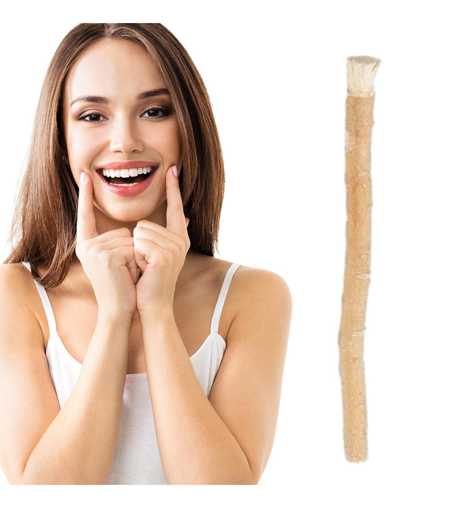 Miswak Toothbrush - Tooth Cleaning Teeth Stick Toothbrushes | Effective Traditional Miswak Stick from Middle East for Tooth Stain Removal Fresher Breath Healthy - Buy Online on GoSupps.com