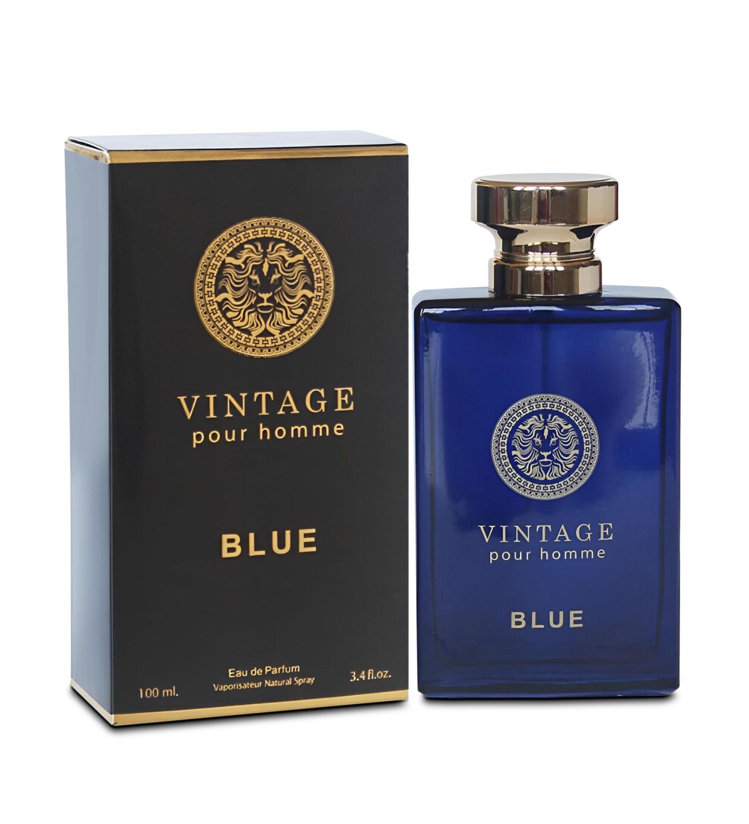 Vintage Blue Men's Cologne Timeless Scent with a Modern Twist Perfume for Men Eau de Toilette 100ML for All Skin Vintage Blue 3.4 Fl Oz (Pack of 1)