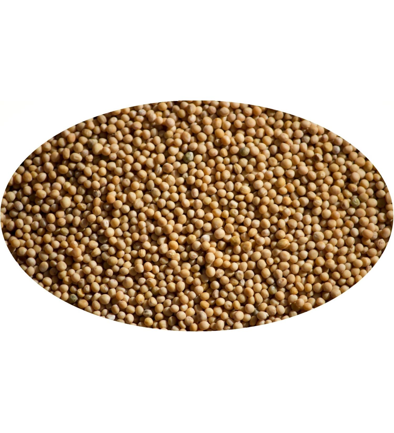 Eder Gew rze - Graines de moutarde blanche enti res - 1kg - Buy Online on GoSupps.com