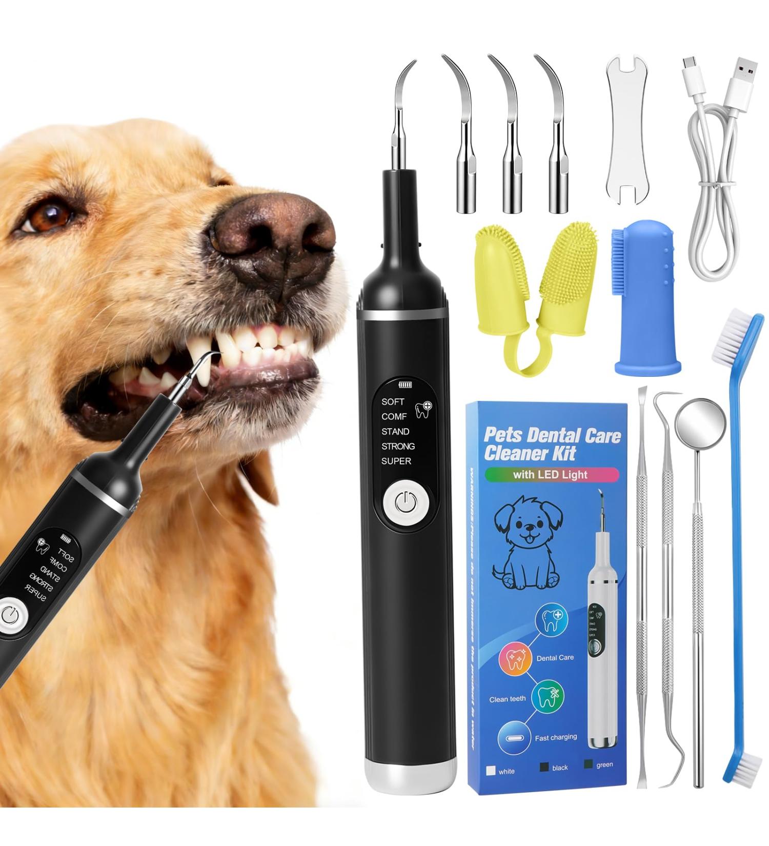 Kit de Nettoyage Tartre Dentaire Ultrasons pour Chien et Chat 5 Modes de Nettoyage et 4 T tes de Nettoyage Kits Dentaires Des Dents Contre Le Tartre pour Chien Chat - Buy Online on GoSupps.com