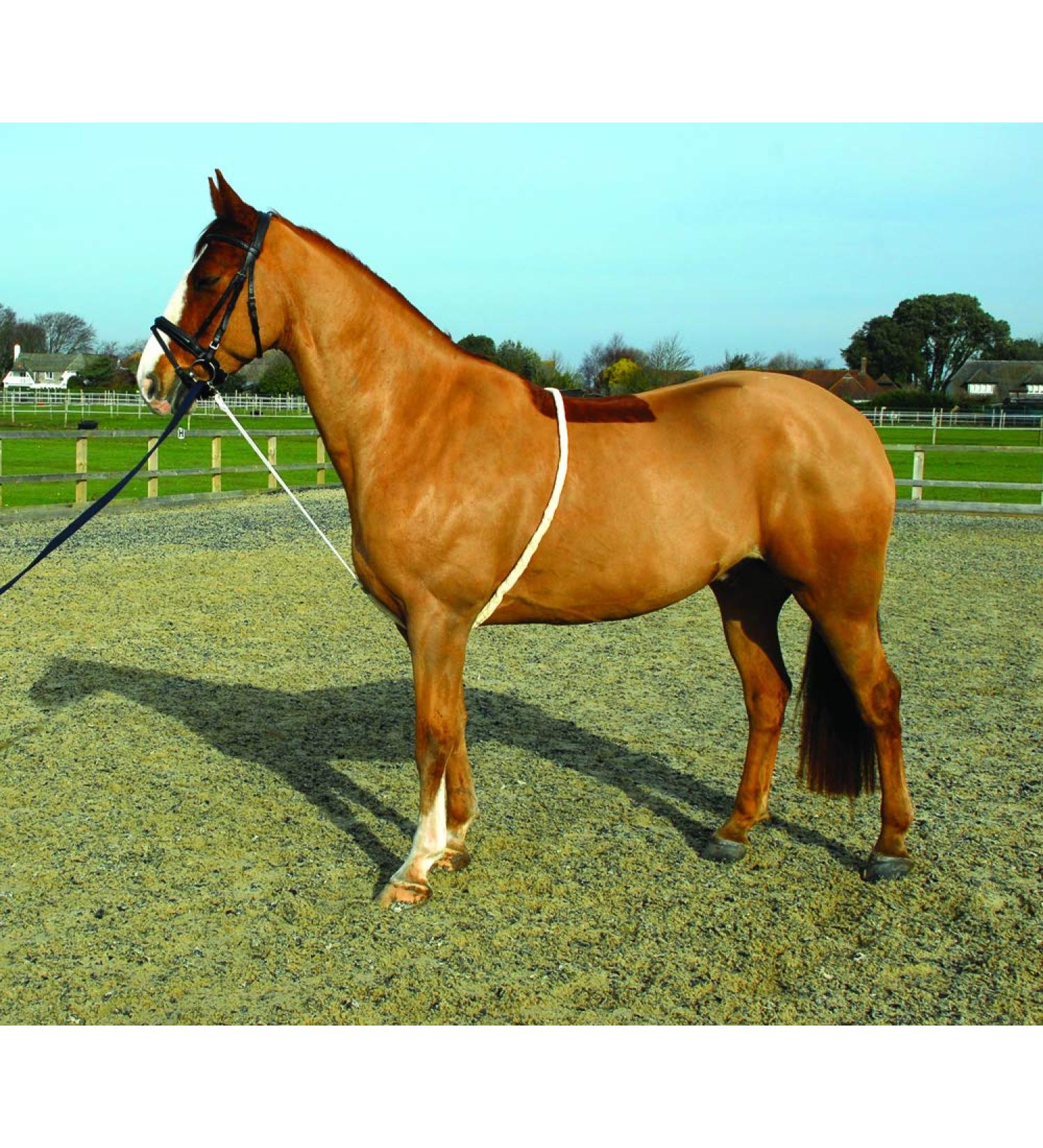 Rhinegold Soft Lunge Aid White