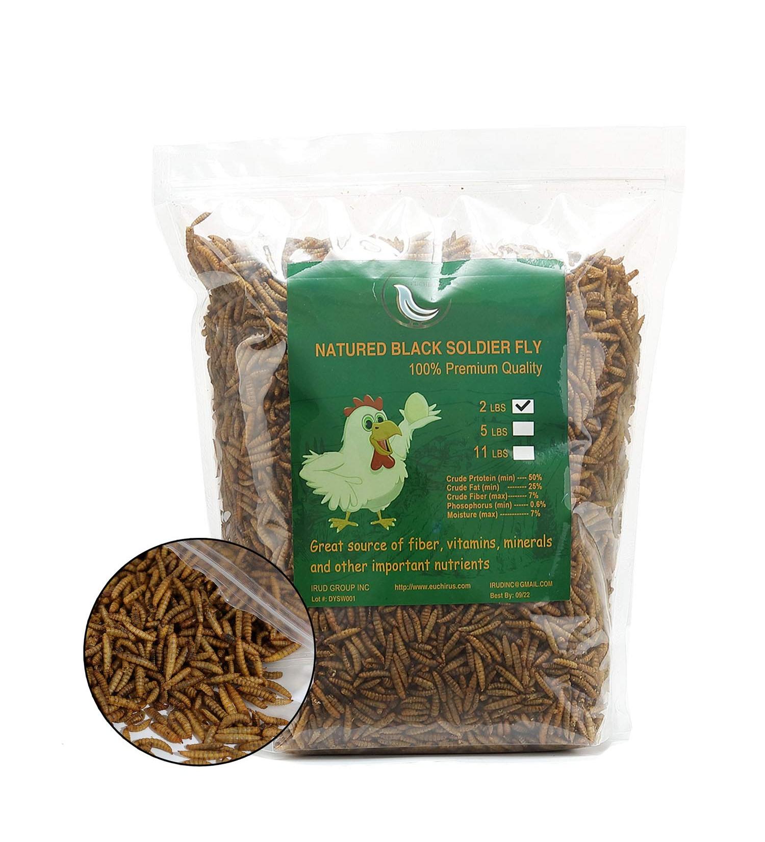 Non-GMO Dried Mealworms - 100% Natural Treats for Birds, Chickens, Hedgehogs & Reptiles - Buy Online on GoSupps.com