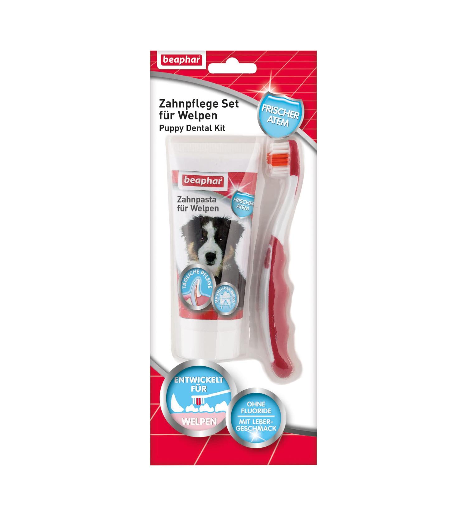 BEAPHAR Dental Care Set for Puppies - Liver Flavor Toothbrush & Toothpaste - Ideal Puppy Oral Hygiene (1 Piece + 50g) - Buy Online on GoSupps.com