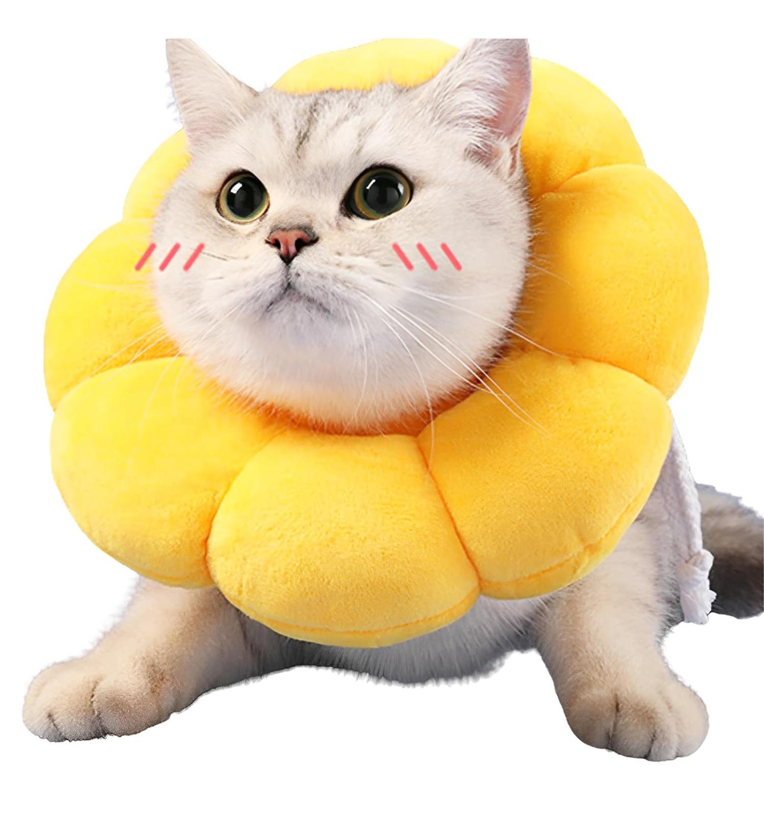 Adjustable Soft Cat Collar | Leak Protection & Comfort - Sunflower Design (8-25cm) - Buy Online on GoSupps.com