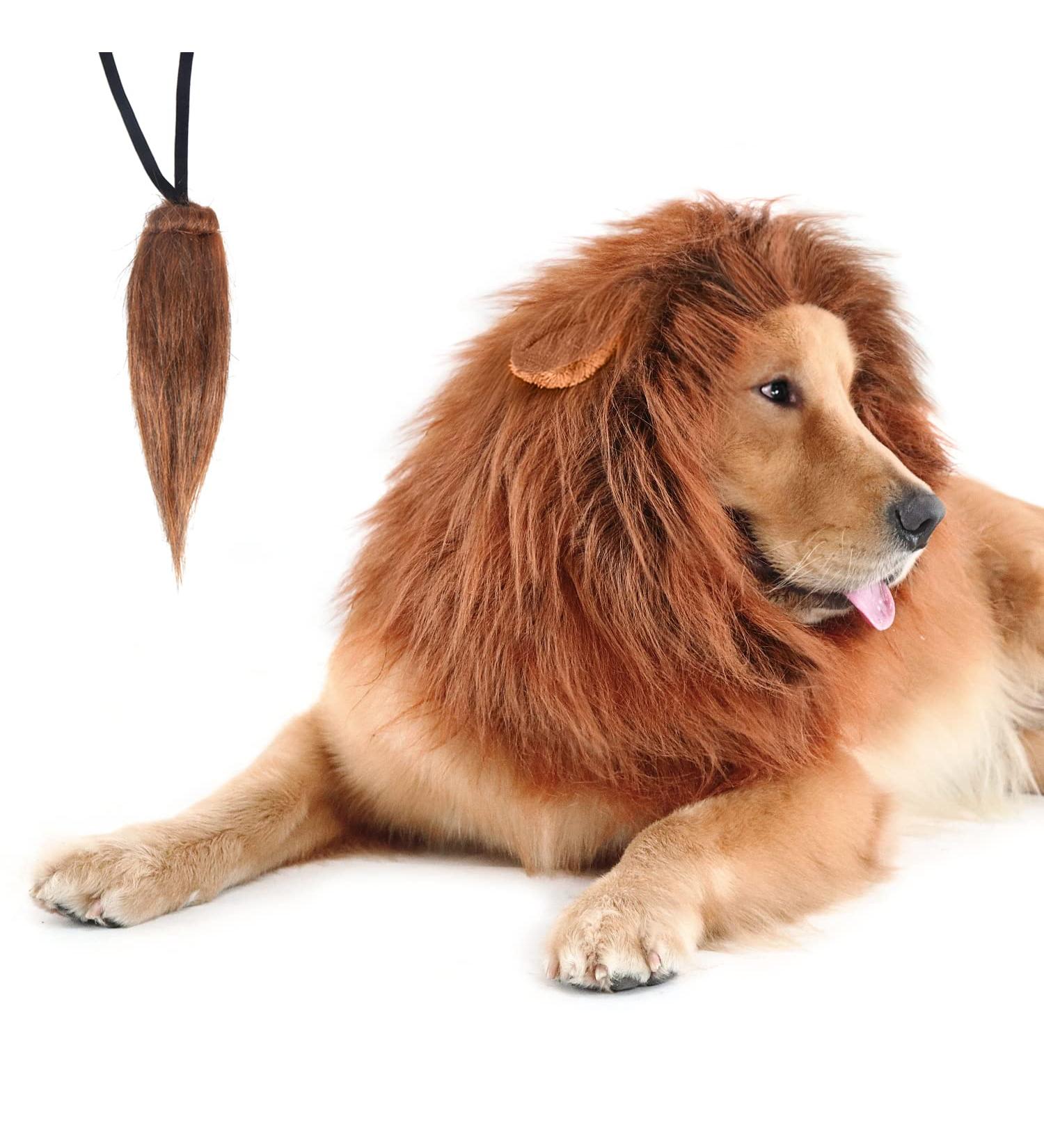 CPPSLEE Lion Mane Dog Costume - Realistic Lion Wig for Medium to Large Dogs - Buy Online on GoSupps.com