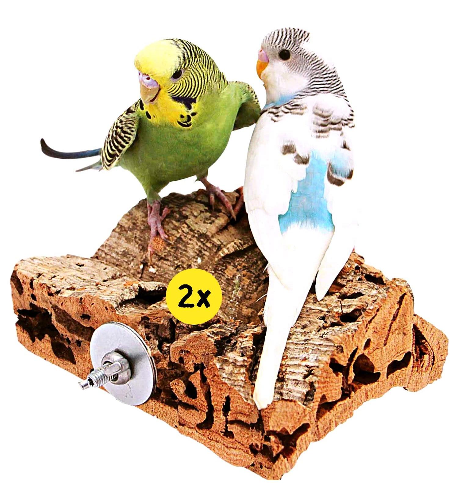 Vogelgaleria Double Pack Cork Care Board 10x10cm - Perfect Accessories Set for Budgies & Nymphensittich | Natural Cork Bird Cage Seating Board - Buy Online on GoSupps.com