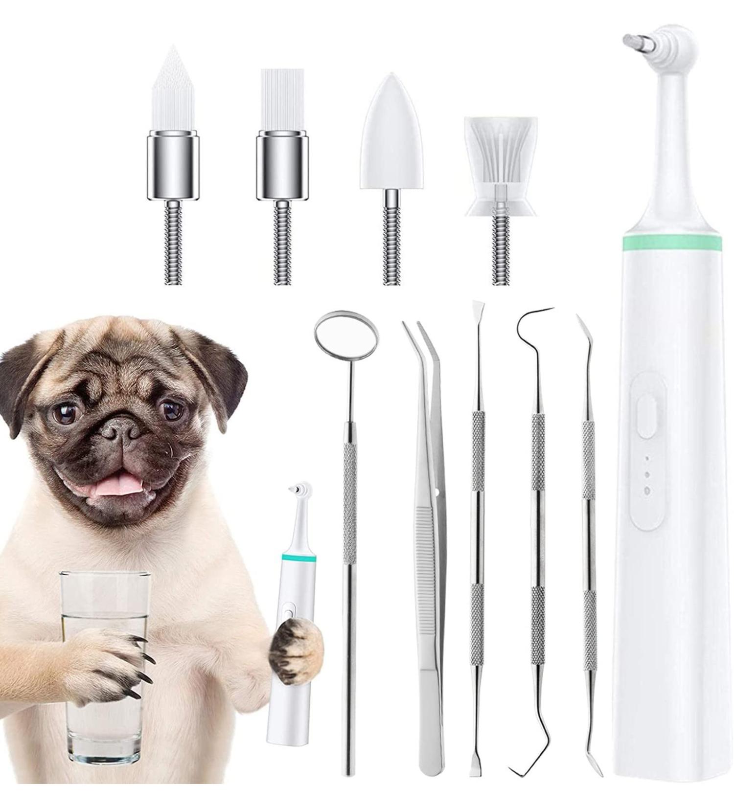 Dog Electric Tooth Polisher Pet Dental Calculus Plaque Remover Tool Electric Kit with 4 Brush Head 5 Cleaning Tools Household Dental Tartar Calculus Remover for Pet Puppy Cat(Size:Green) - Buy Online on GoSupps.com