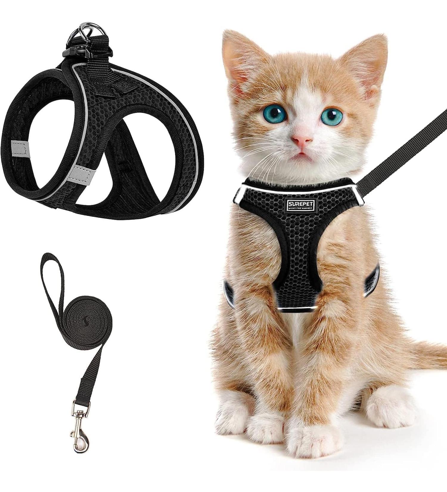 Cat Harness and Lead Set Soft Mesh Puppy Harness for Outdoor Escape-Proof Cat Kitten Harness with Leash Set for Walking Leash Adjustable Reflective Strips Vest Harnesses M Black - Buy Online on GoSupps.com