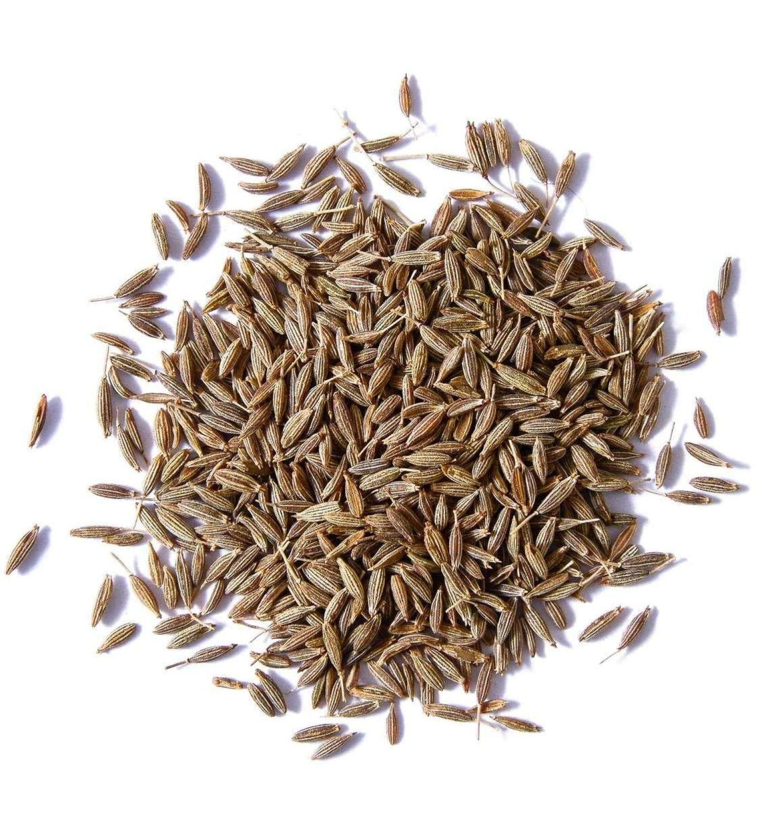 Thimble's Online Shopper's Freedom Herbs and Spices Cumin Seeds 100g